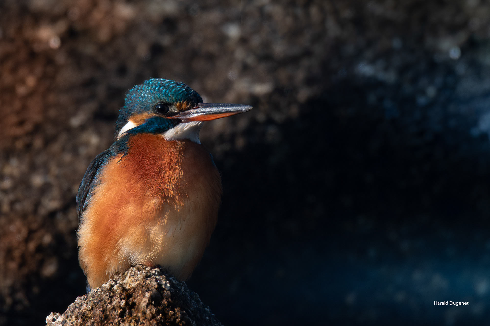 Martine, La grotte bleue