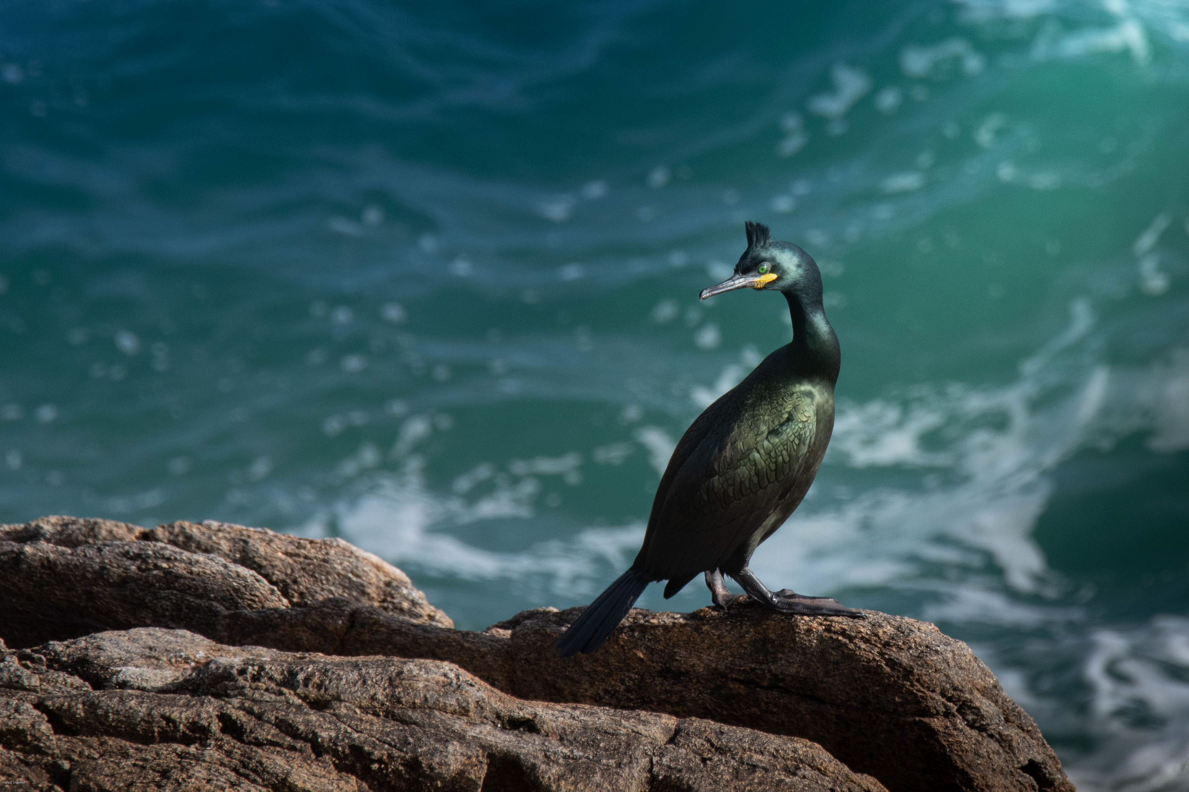 La pause au bord de l'eau.