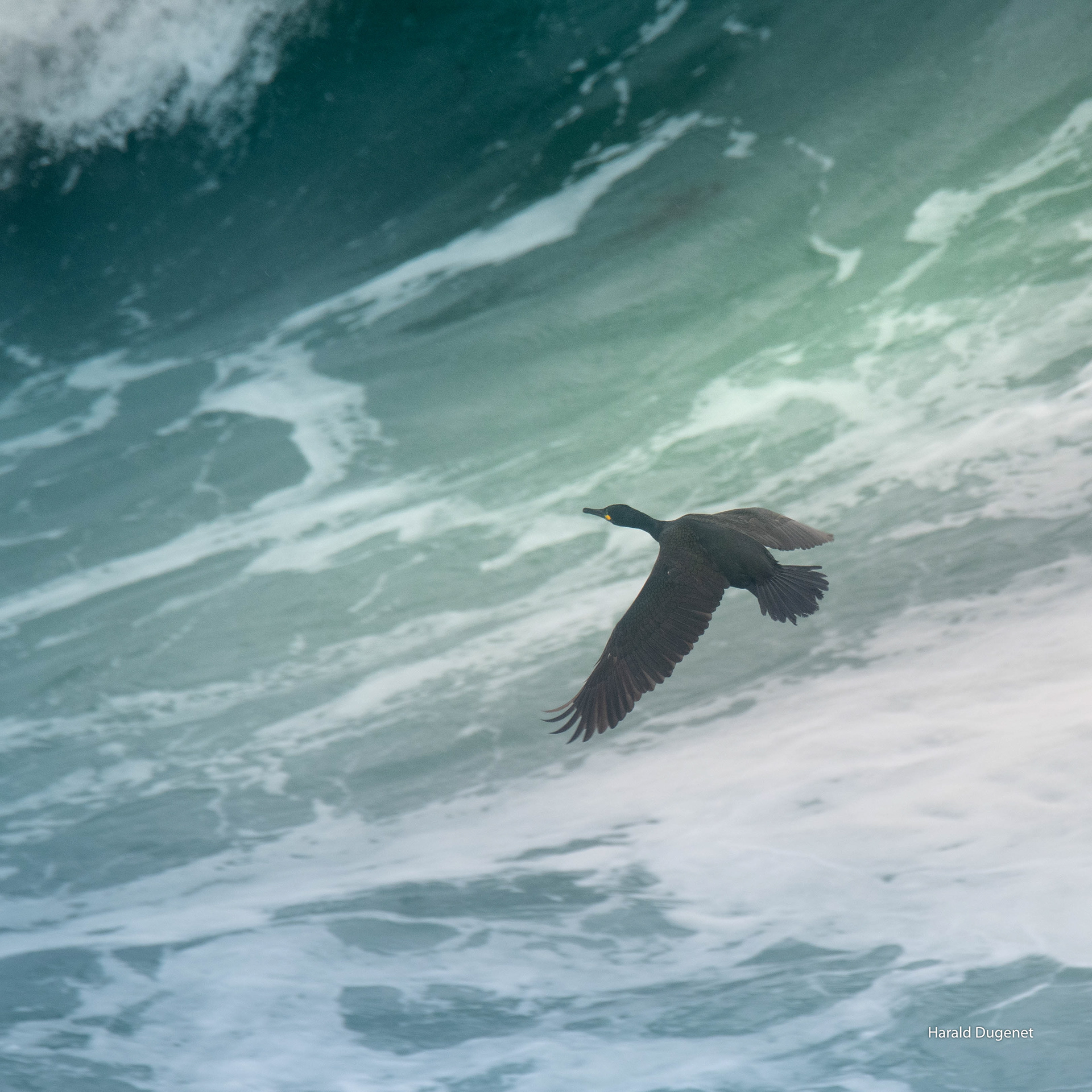 La pause au bord de l'eau