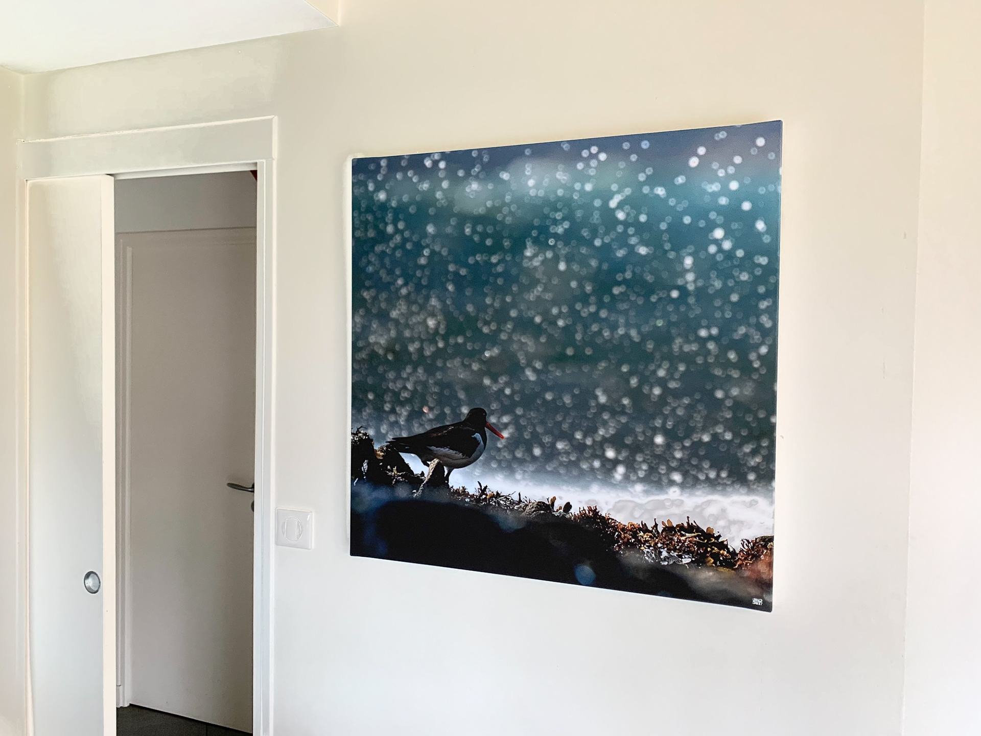 toile tendue 80X80 près d'une porte. (proportions)