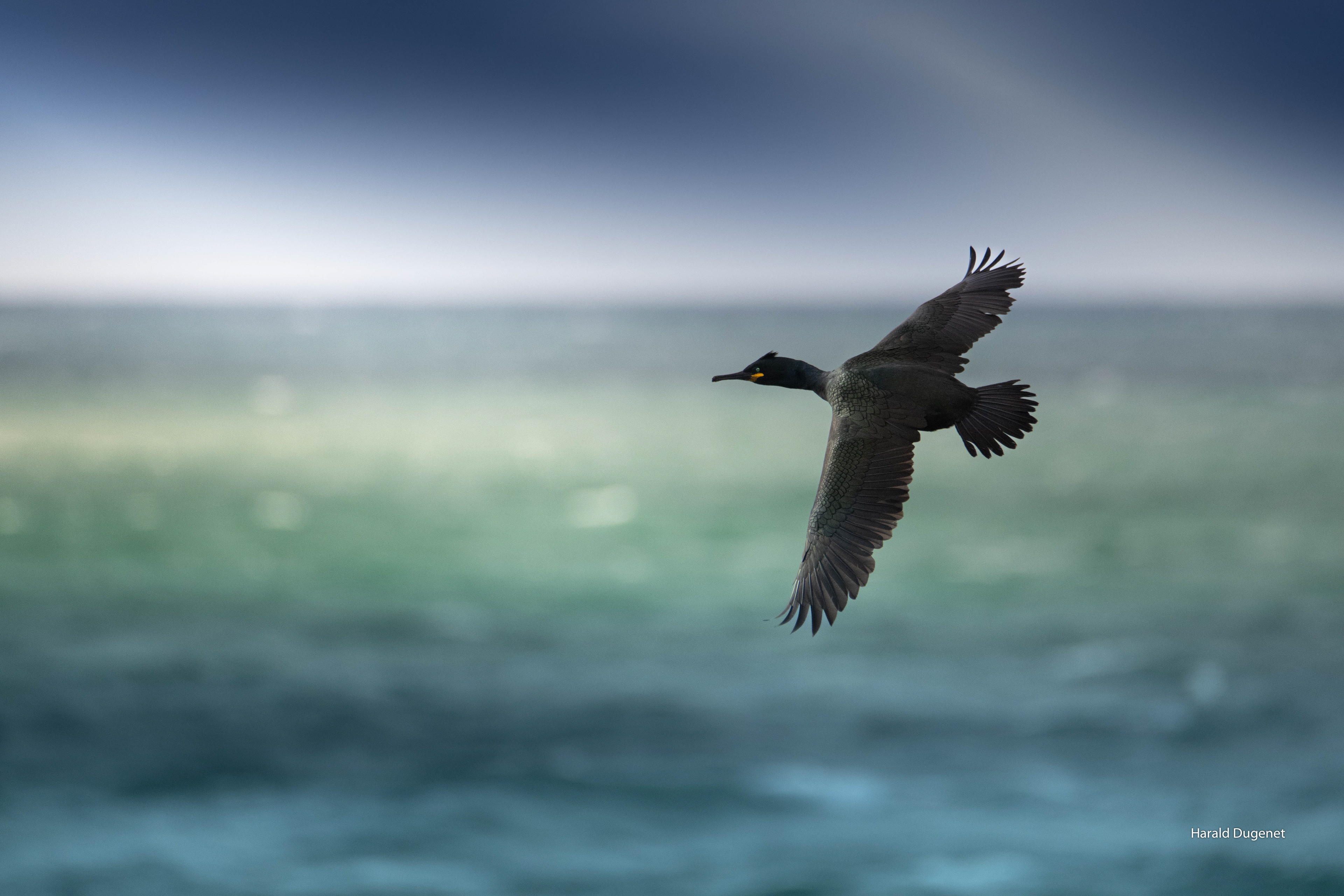 30° à l'Ouest du saisissement