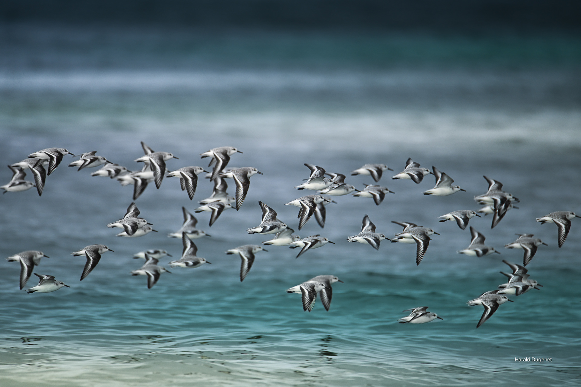 Dernier vol avant la nuit