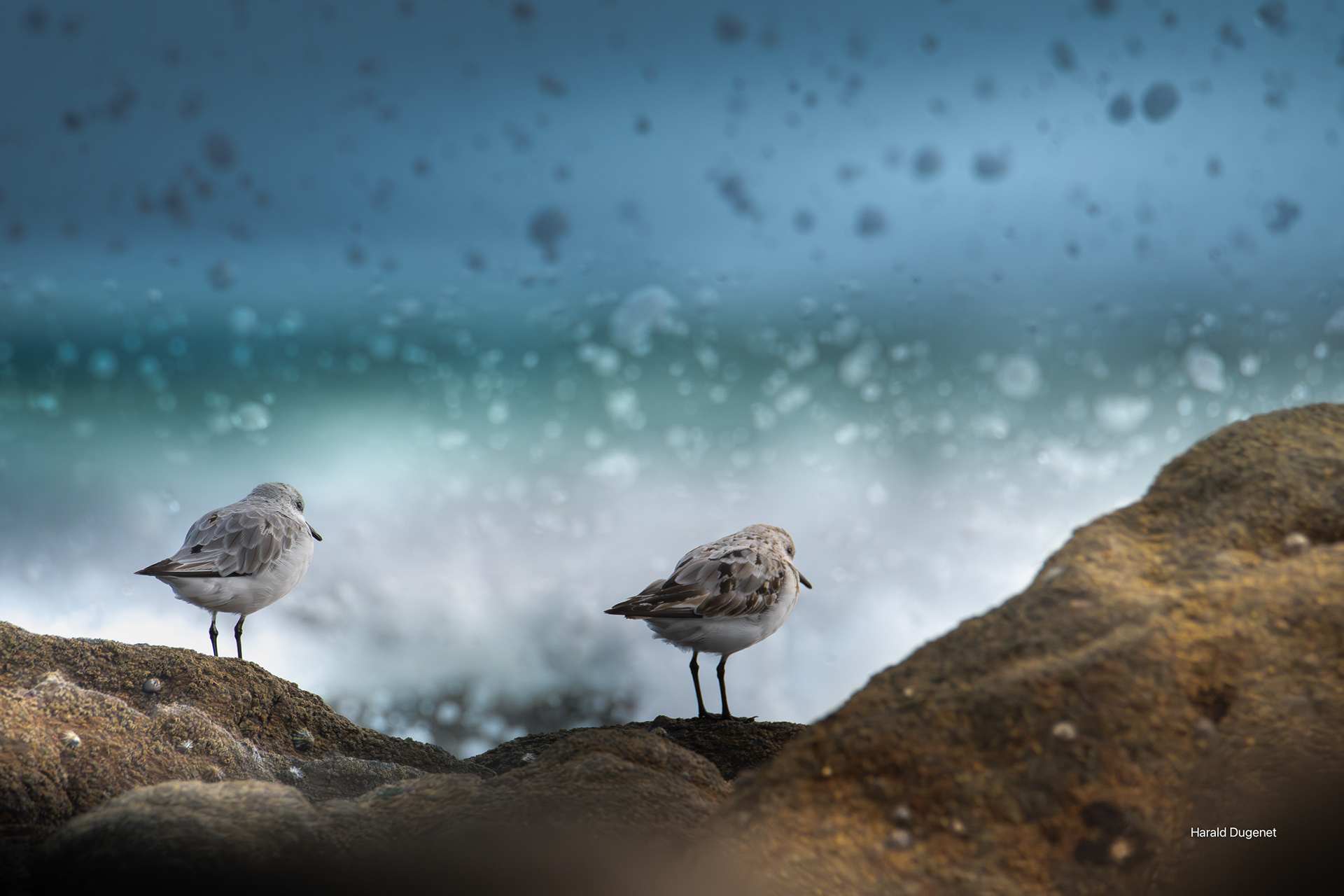 La mer si proche