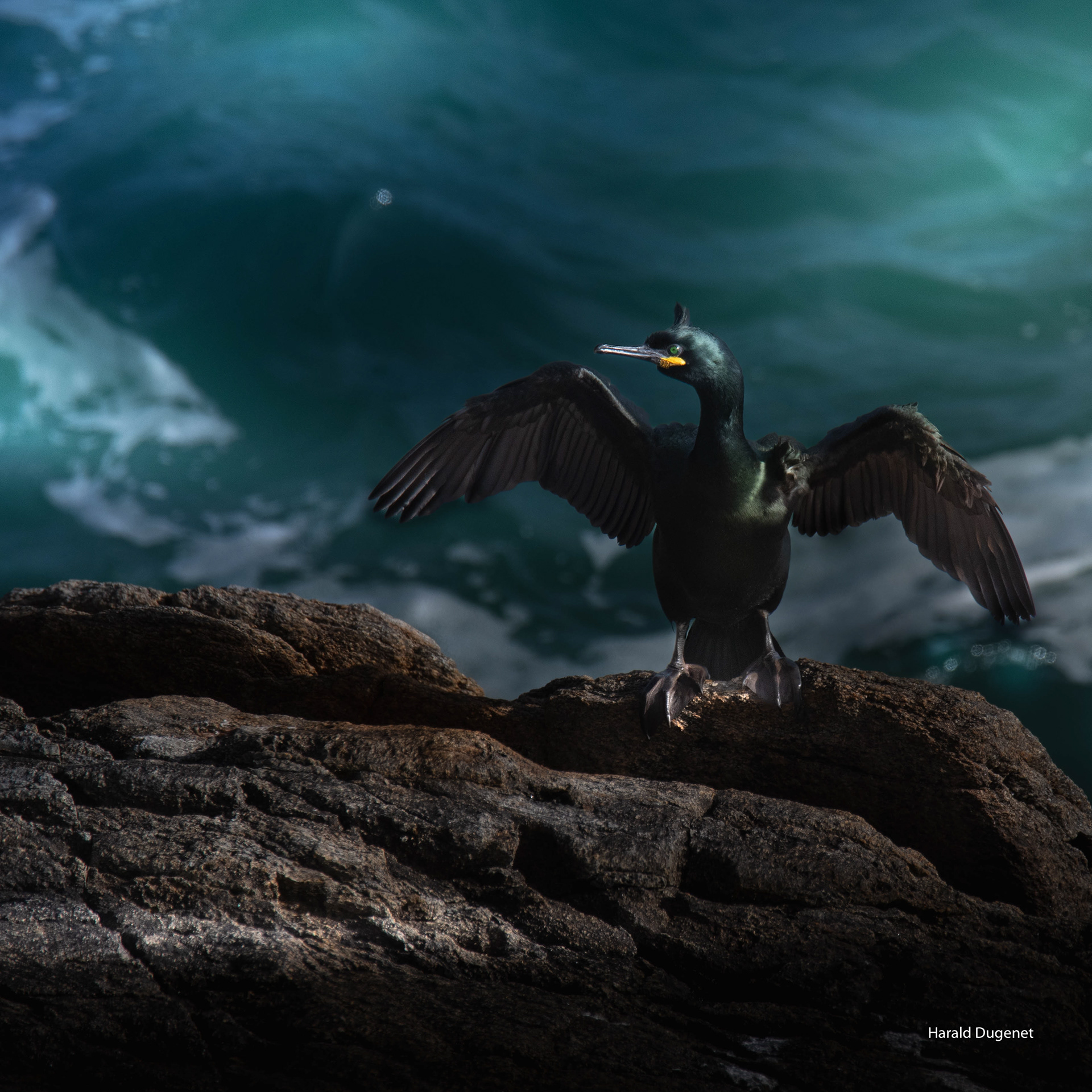 Tu es ma lumière tiède