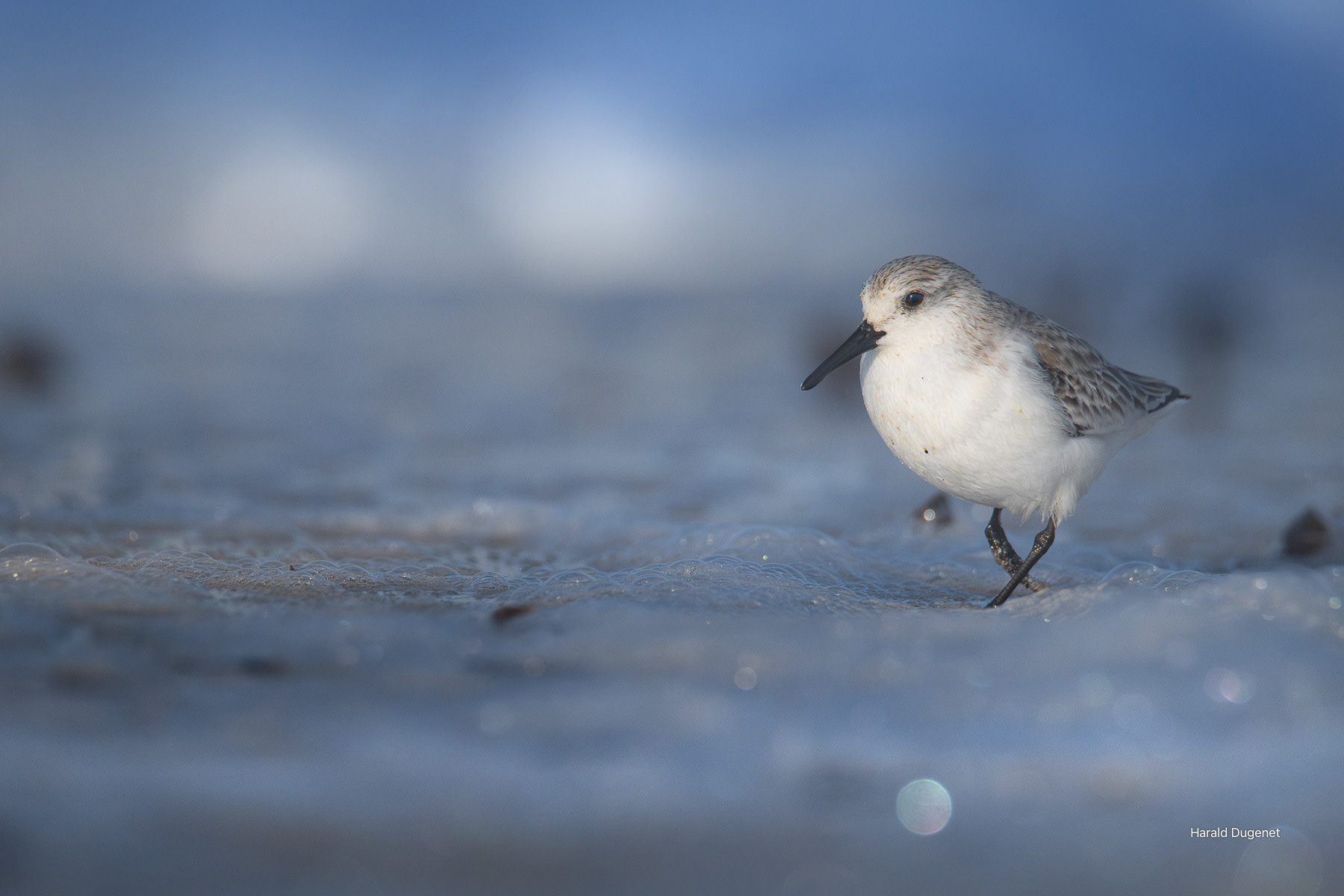 Juste après la frappe de l'eau