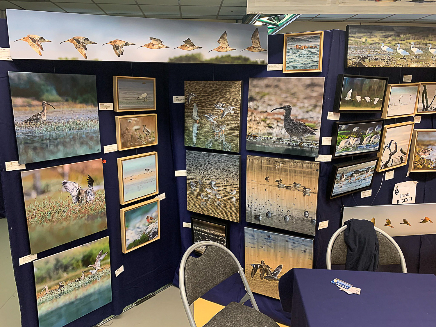 Brasarts 2019