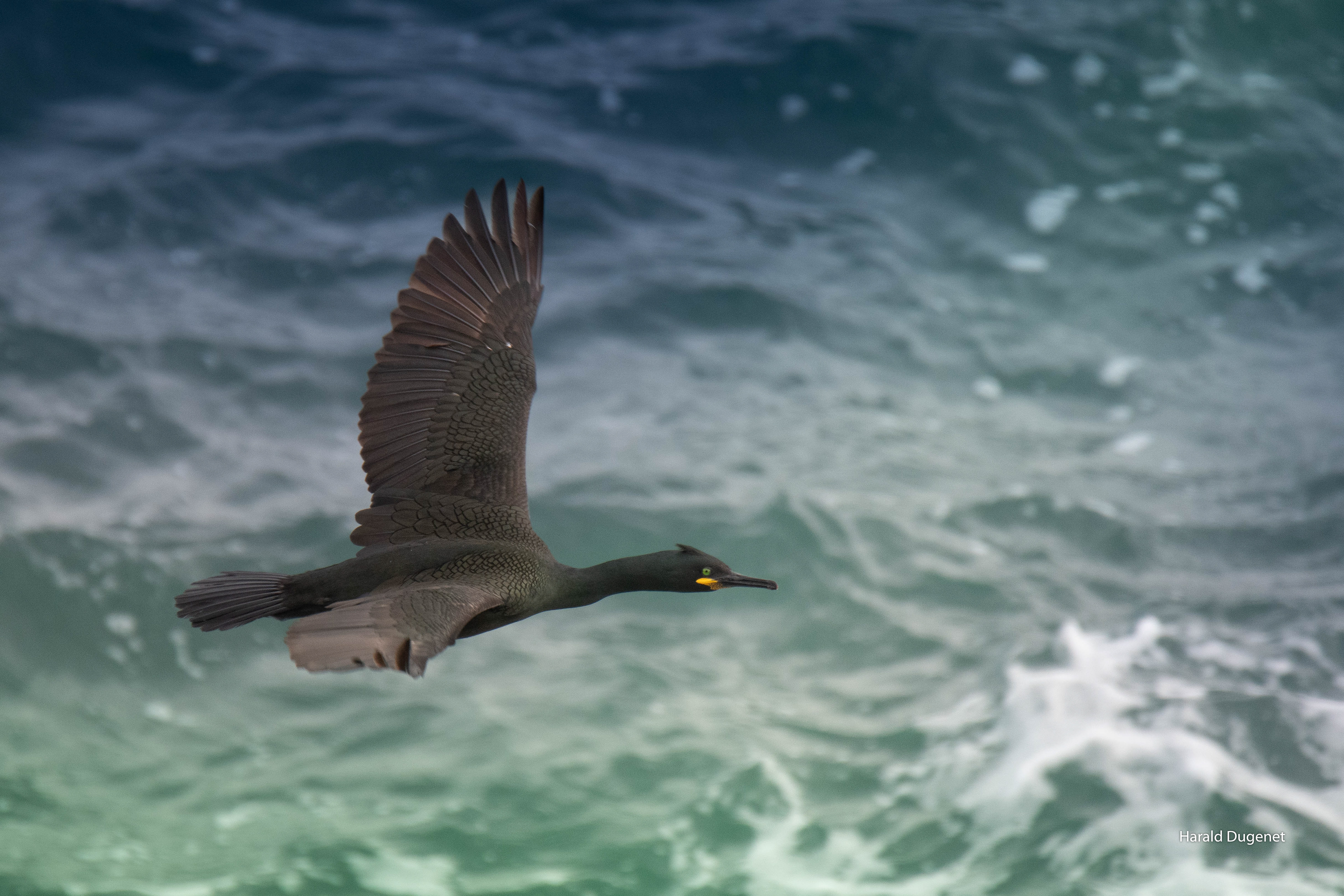L'air qui nous porte
