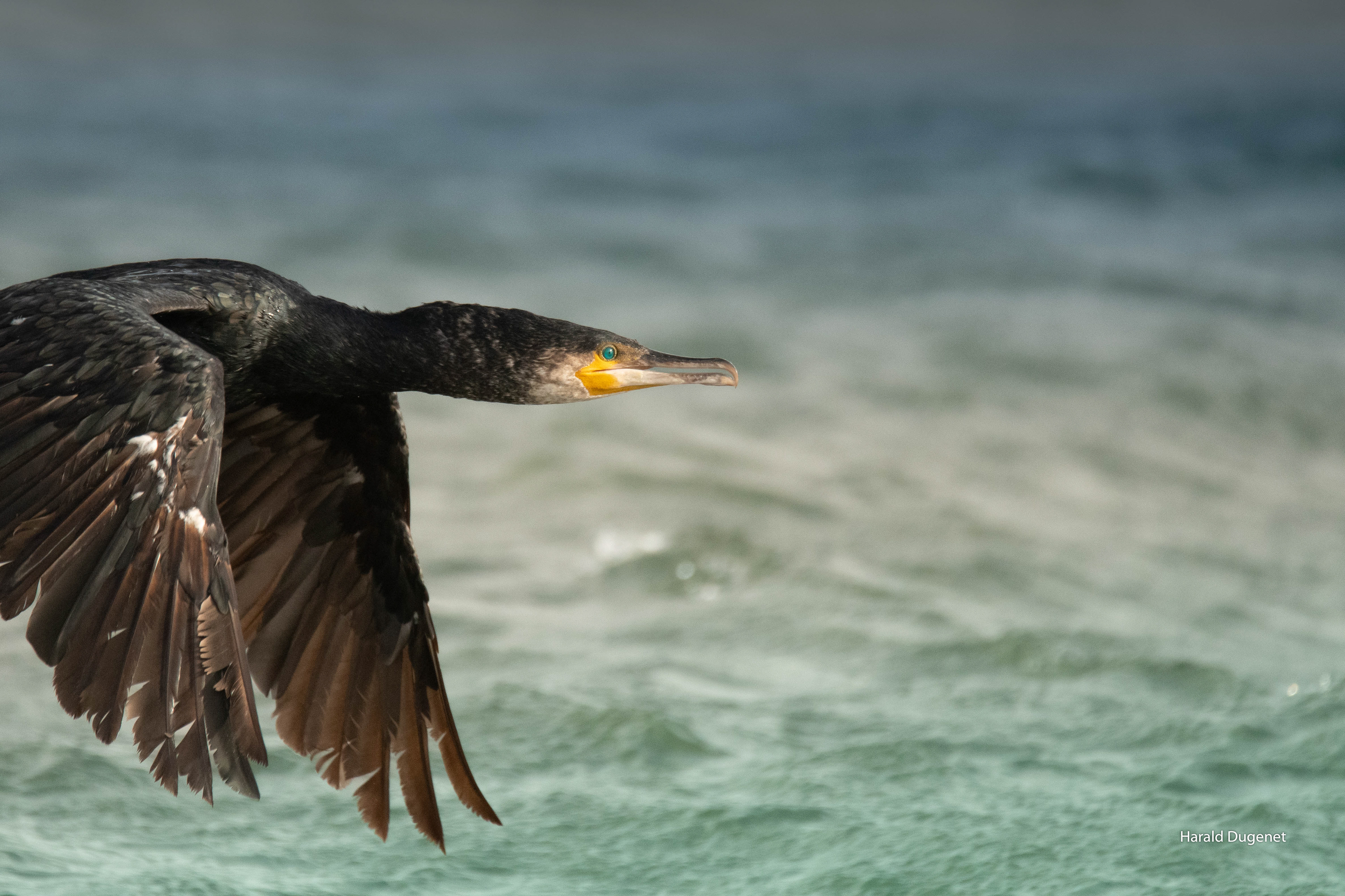 Depart vers le lieu de pêche