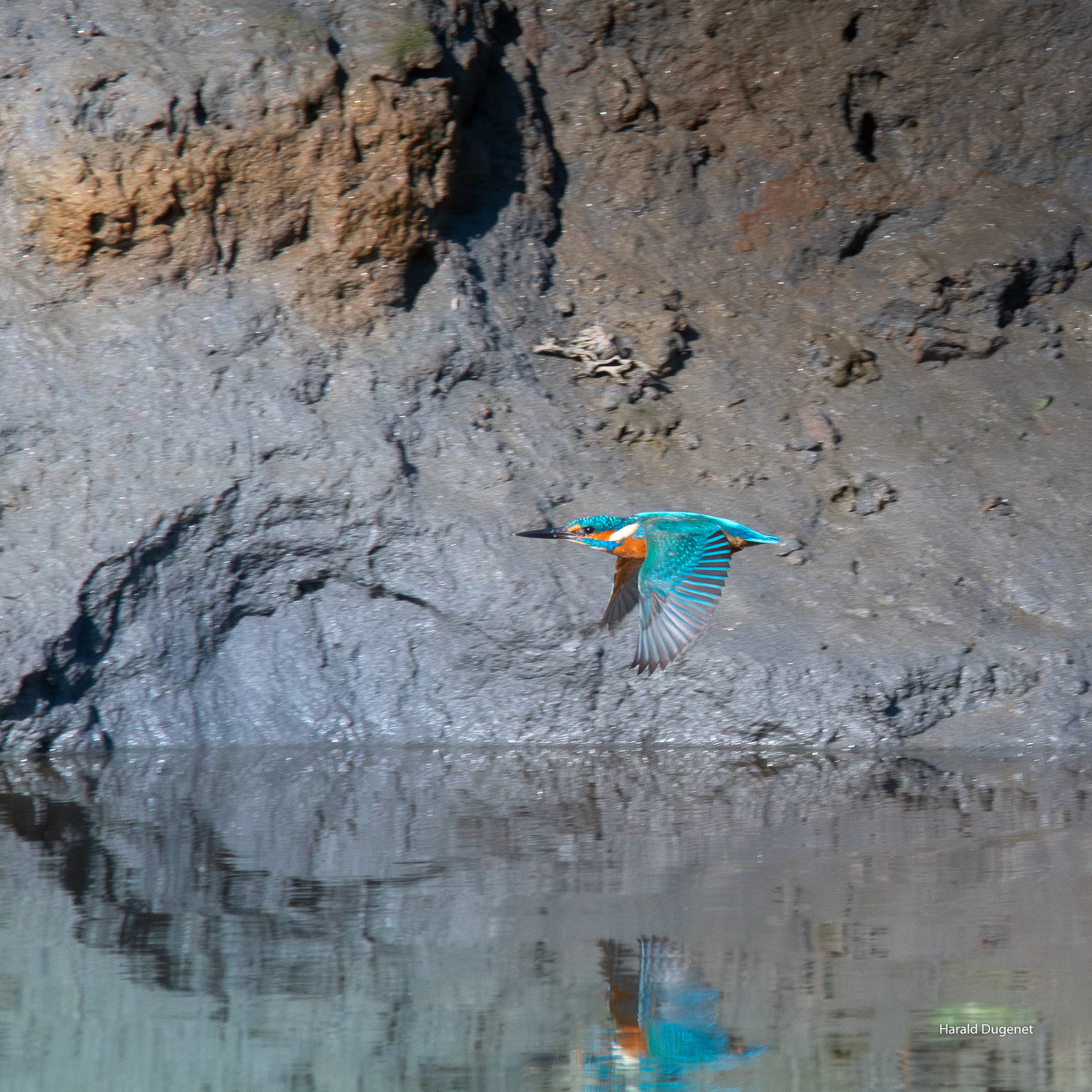 L'eau limpide