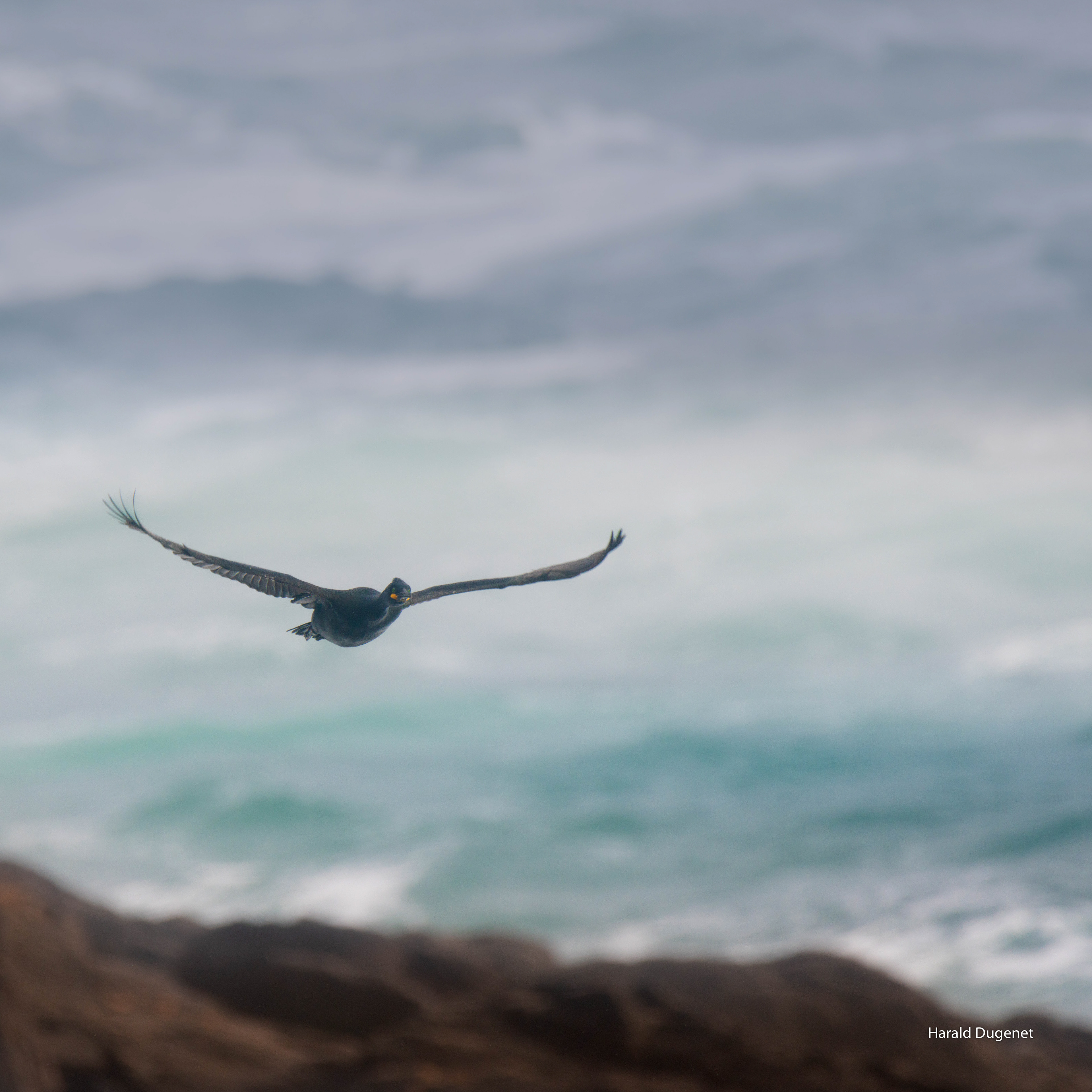 Les lointains brumeux