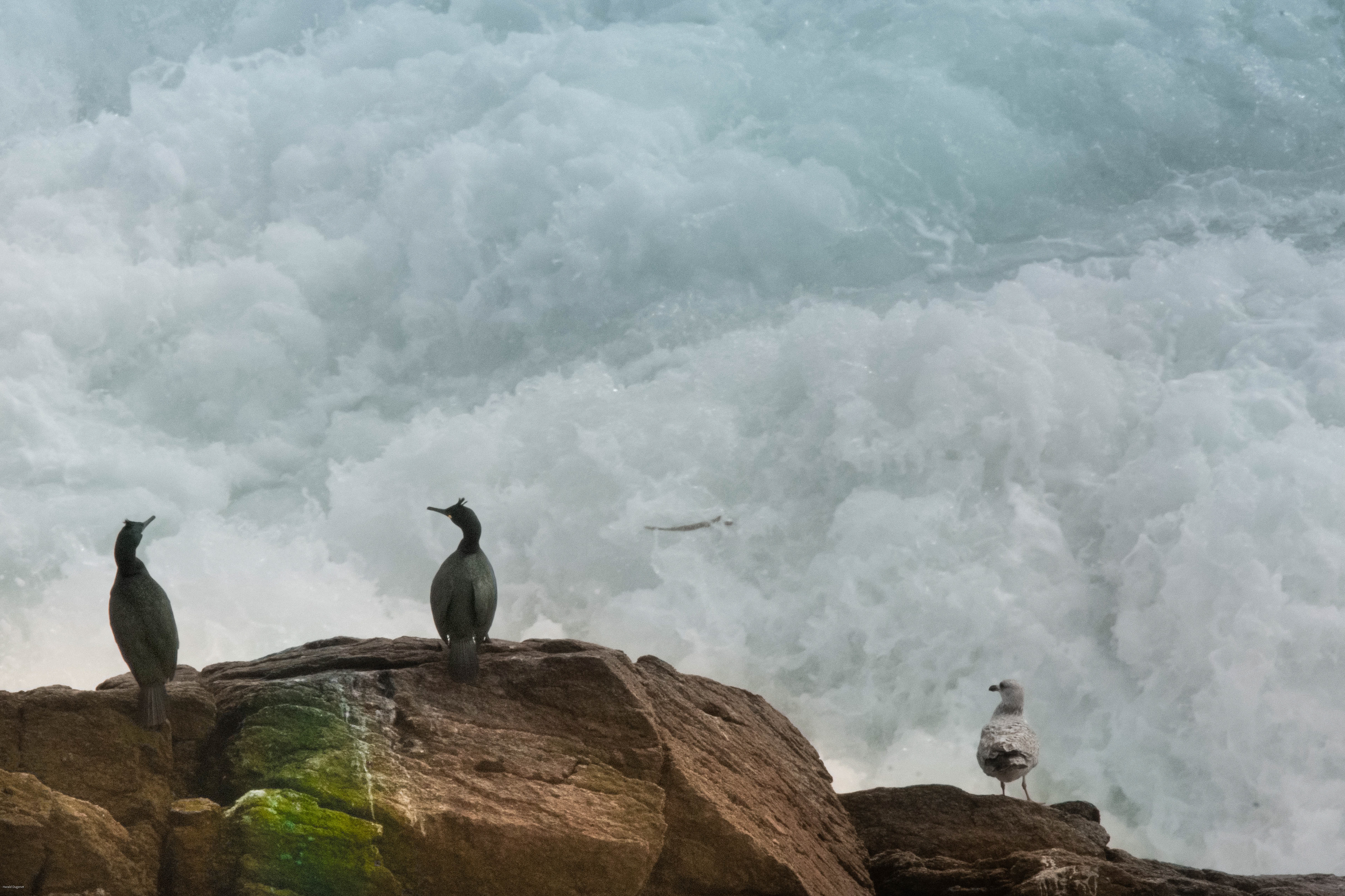 La mer sous l'écume