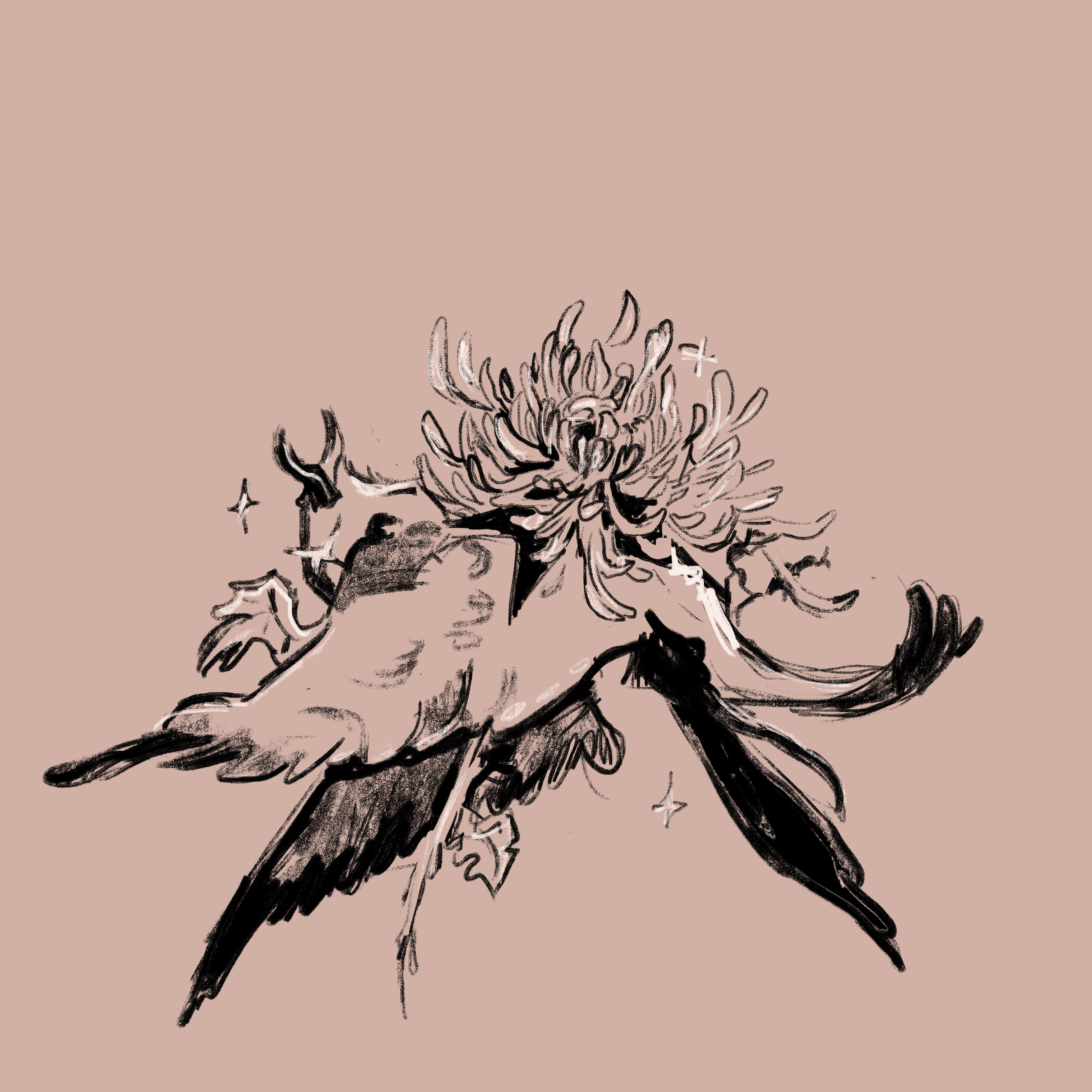 Chrysanthemum| Photoshop| 2025