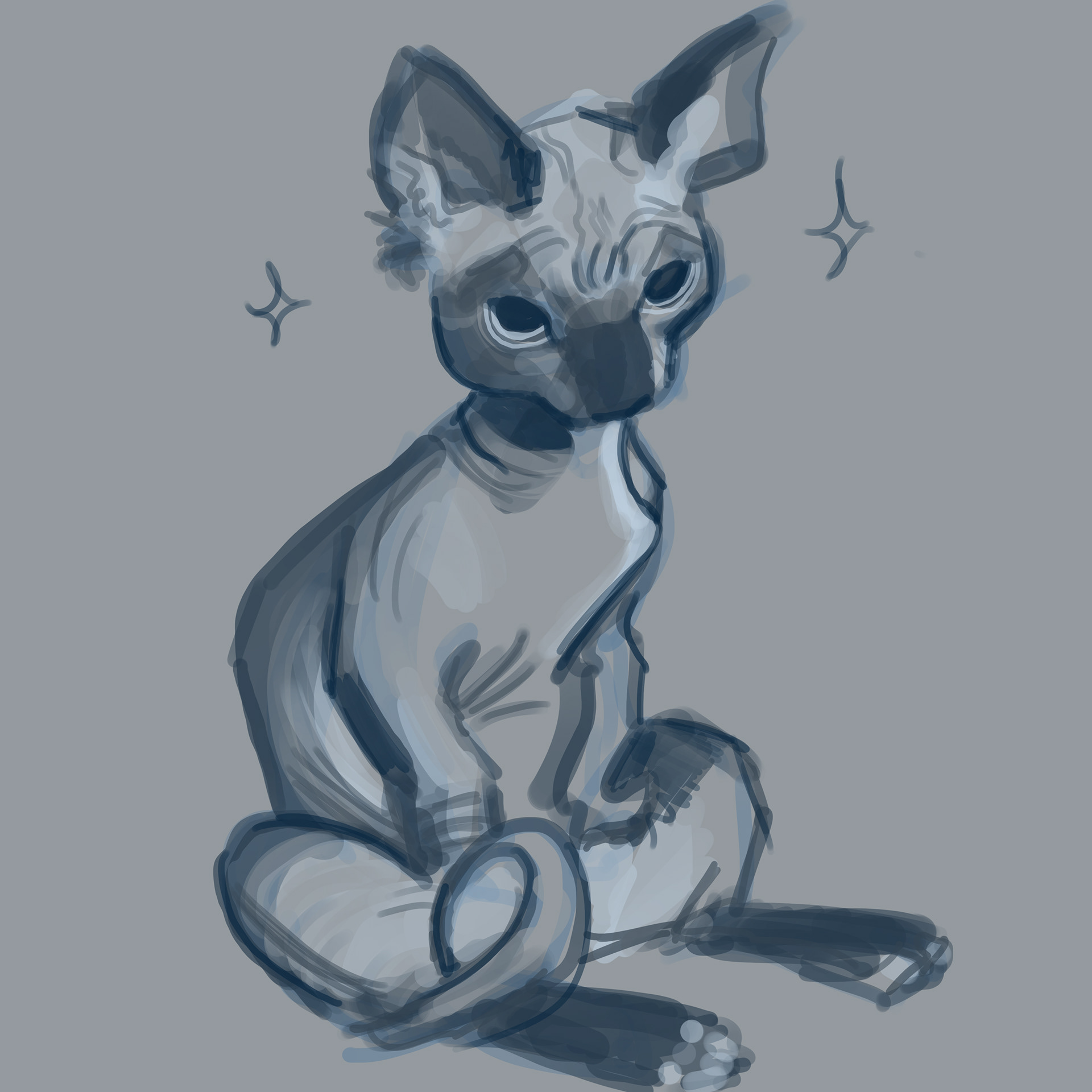 Hairless Kitty|Photoshop| 2024