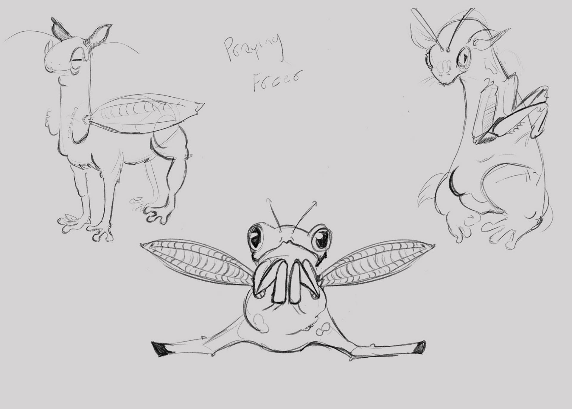 Creature Mash-ups Designs| Photoshop| 2026