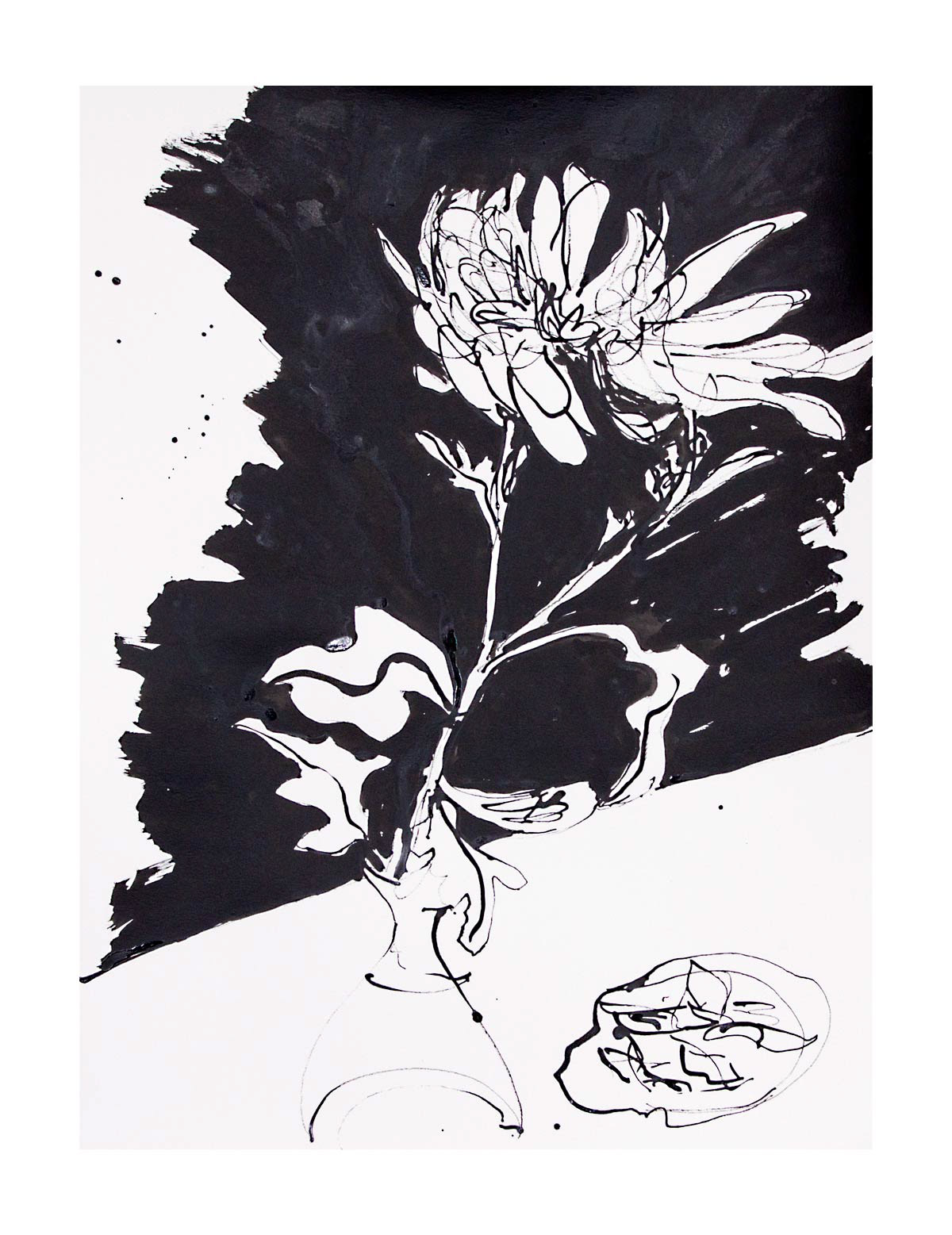 Chrysanthemum, ink on paper, 18" x 24", 2020