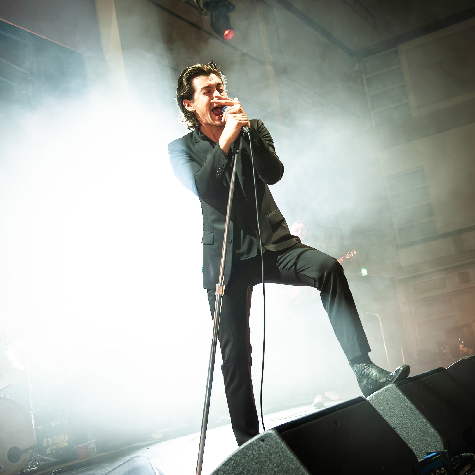 The Last Shadow Puppets