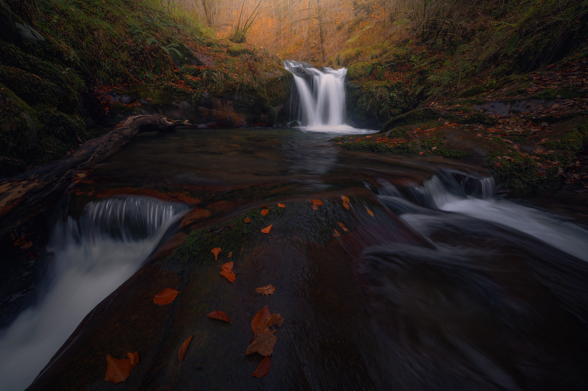 Otoño en el Parque Natural de Redes