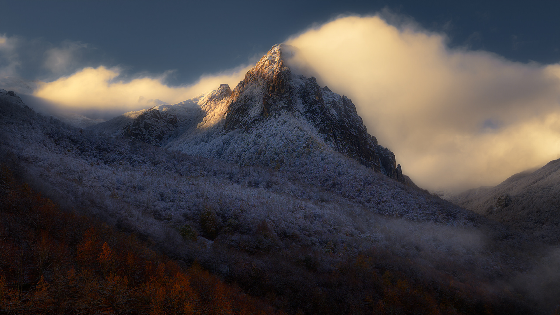 En el Parque Natural de Redes, Campo de Caso, el amanecer ilumina árboles otoñales cubiertos por la nieve, con una montaña nevada al fondo envuelta en una bruma mágica 