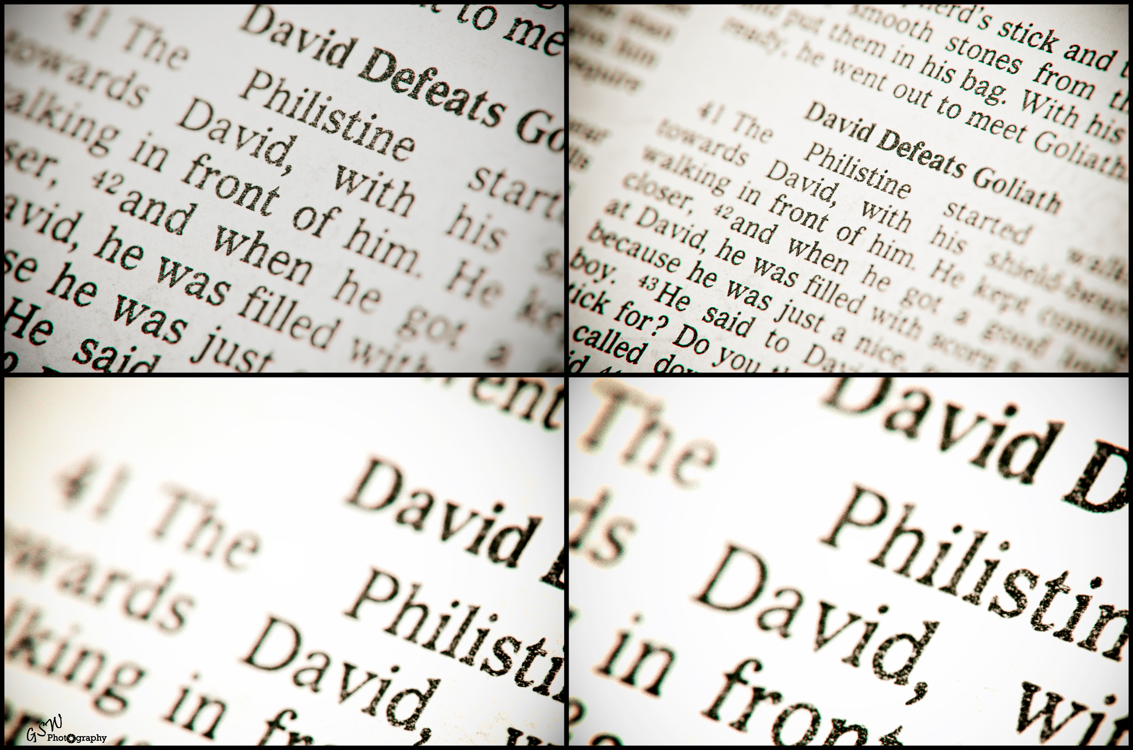 David & Goliath, Sussex