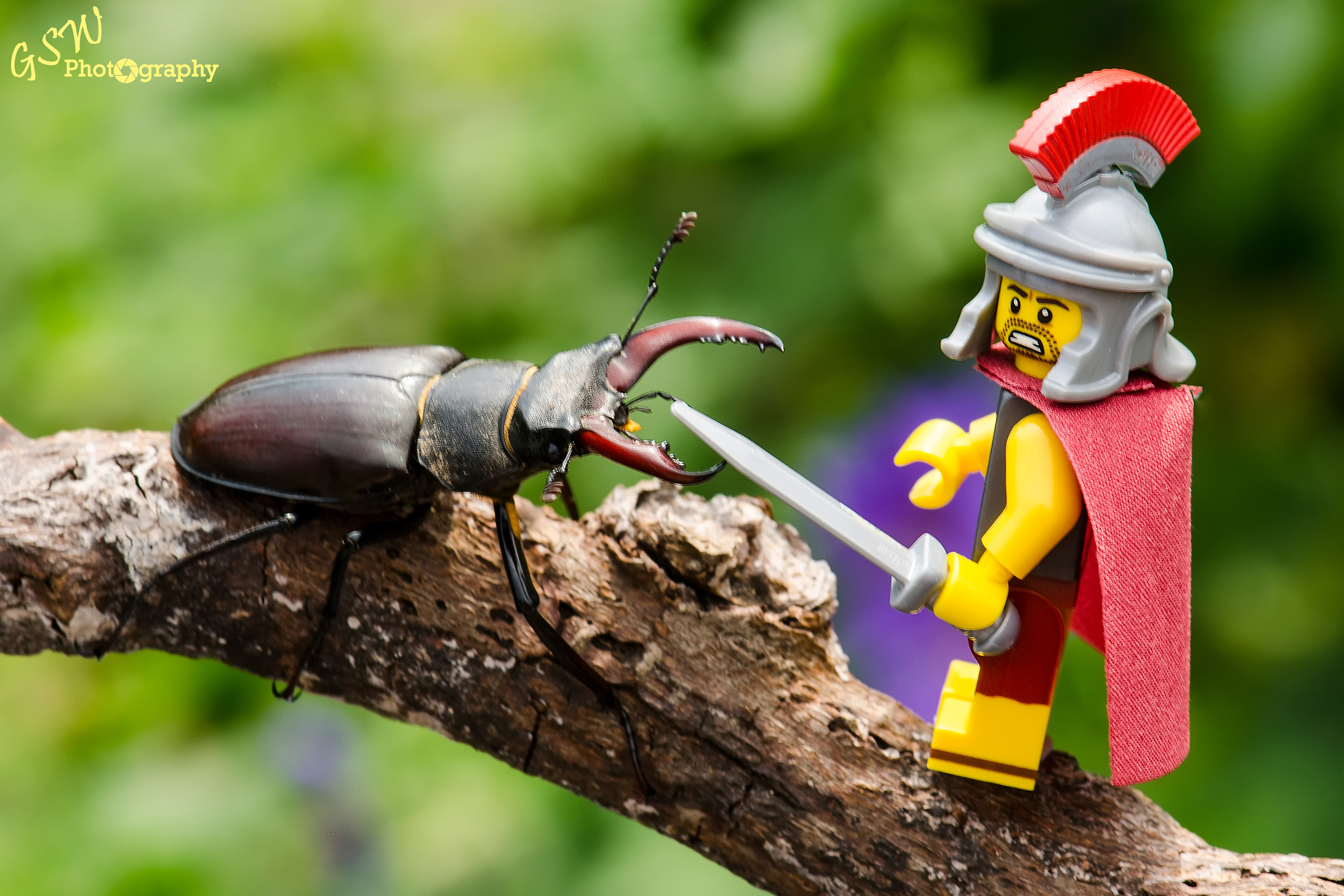 Centurion vs Stag, Sussex