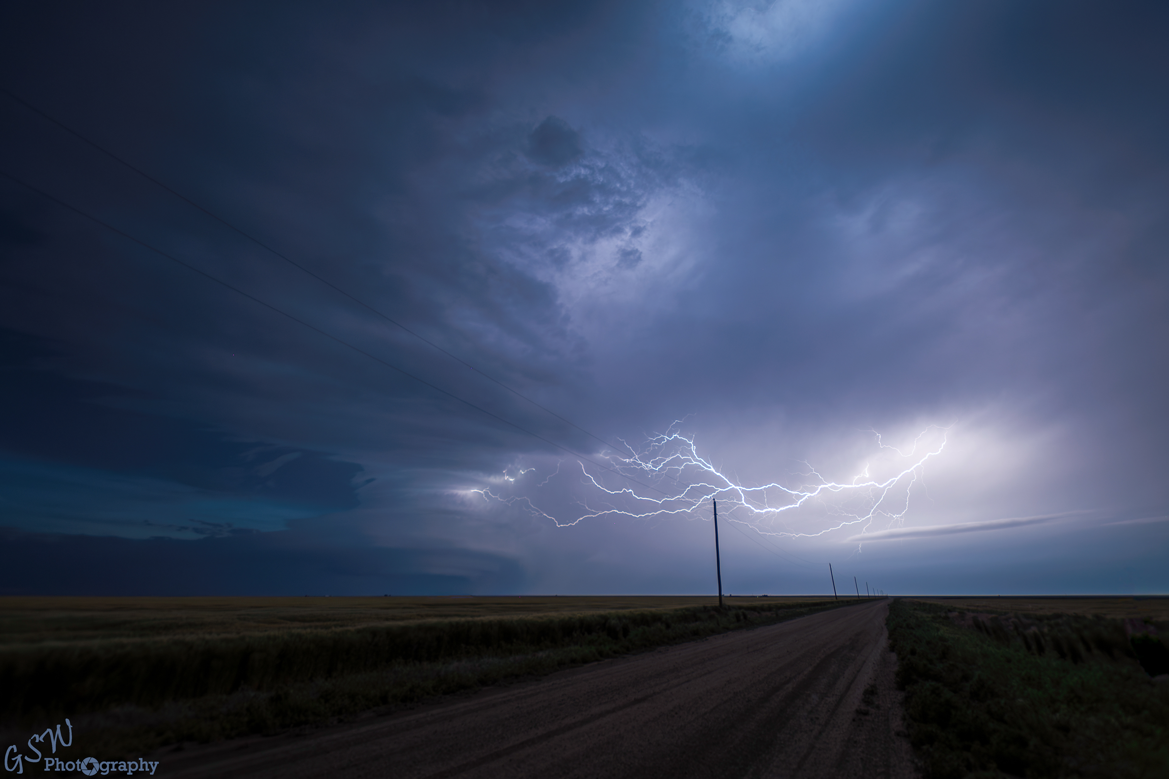 Crawling across the road, Colorado
