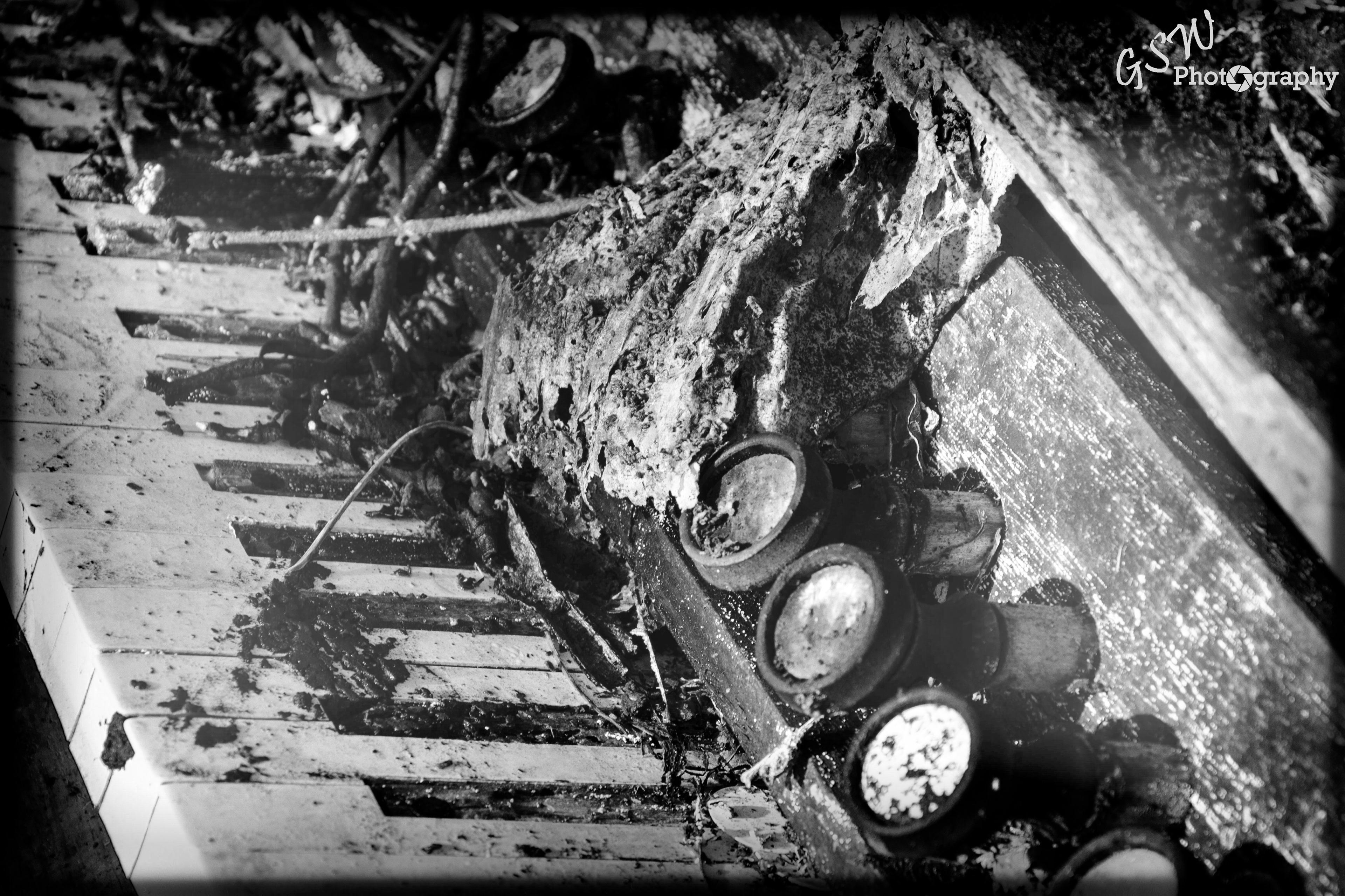 Play it again Sam, Surrey