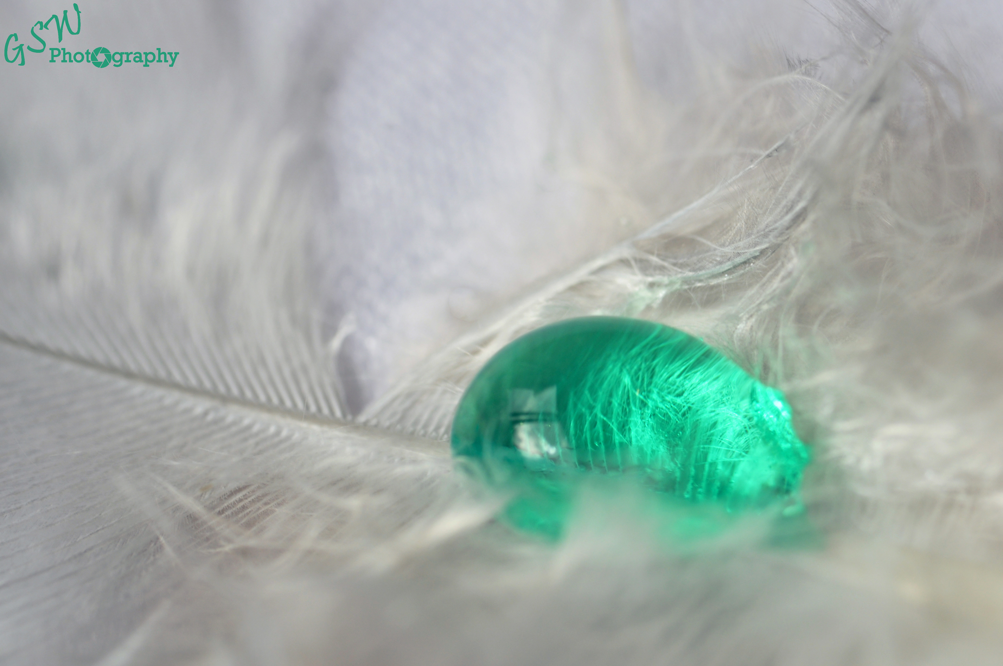 It's So Fluffy!!, Sussex