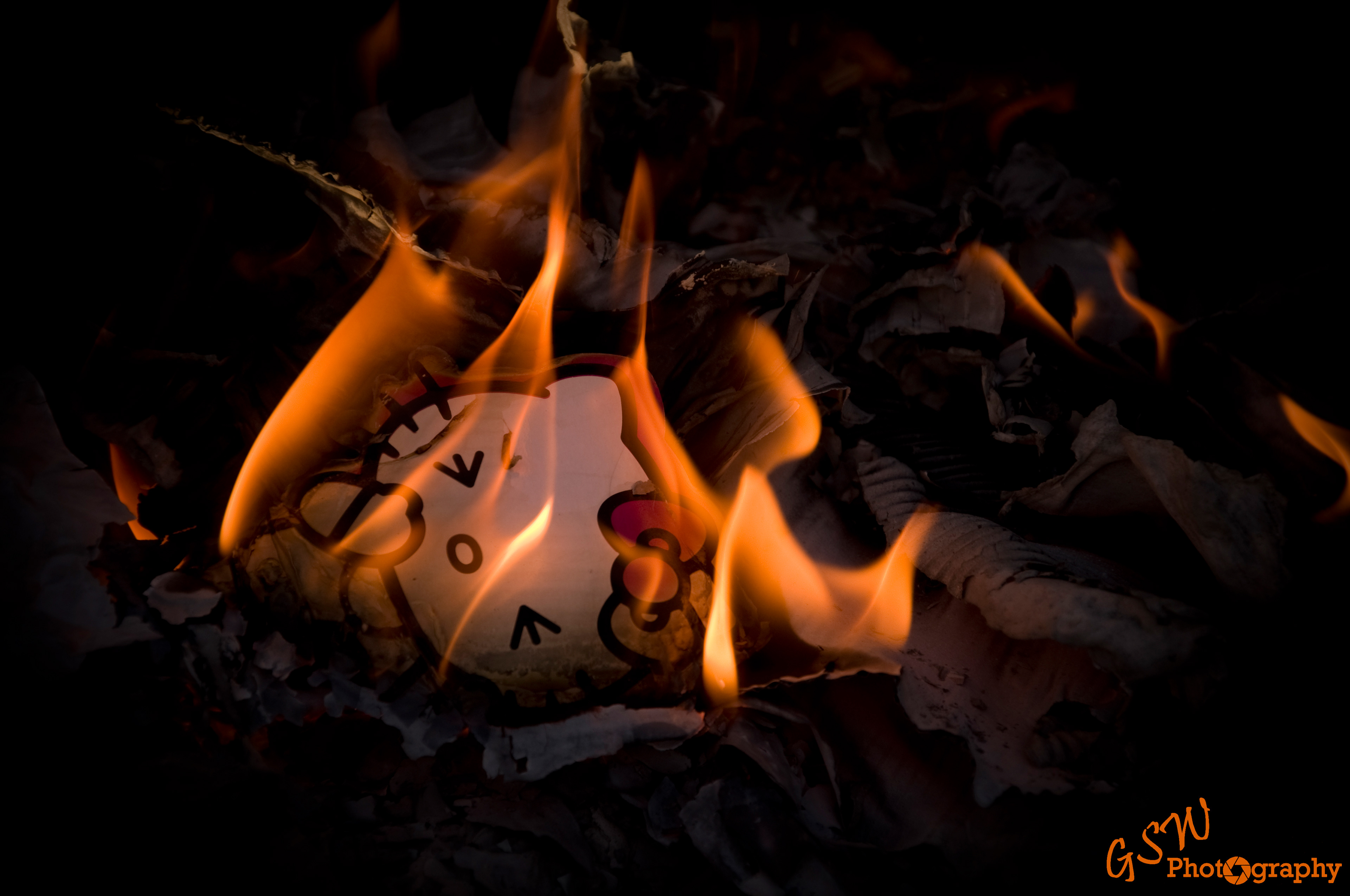 Goodbye Kitty, Sussex