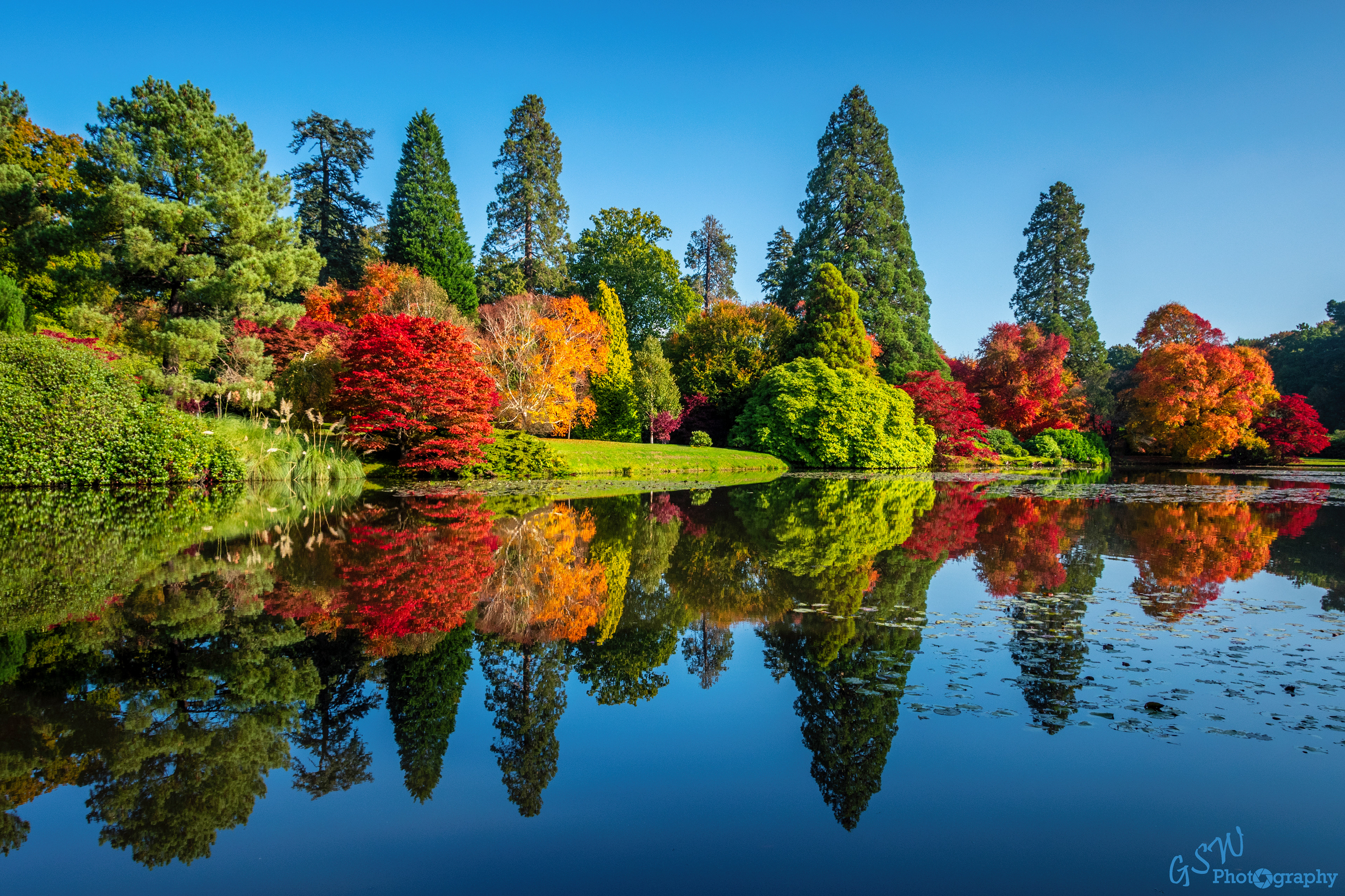 Autumn Reflections, Sussex