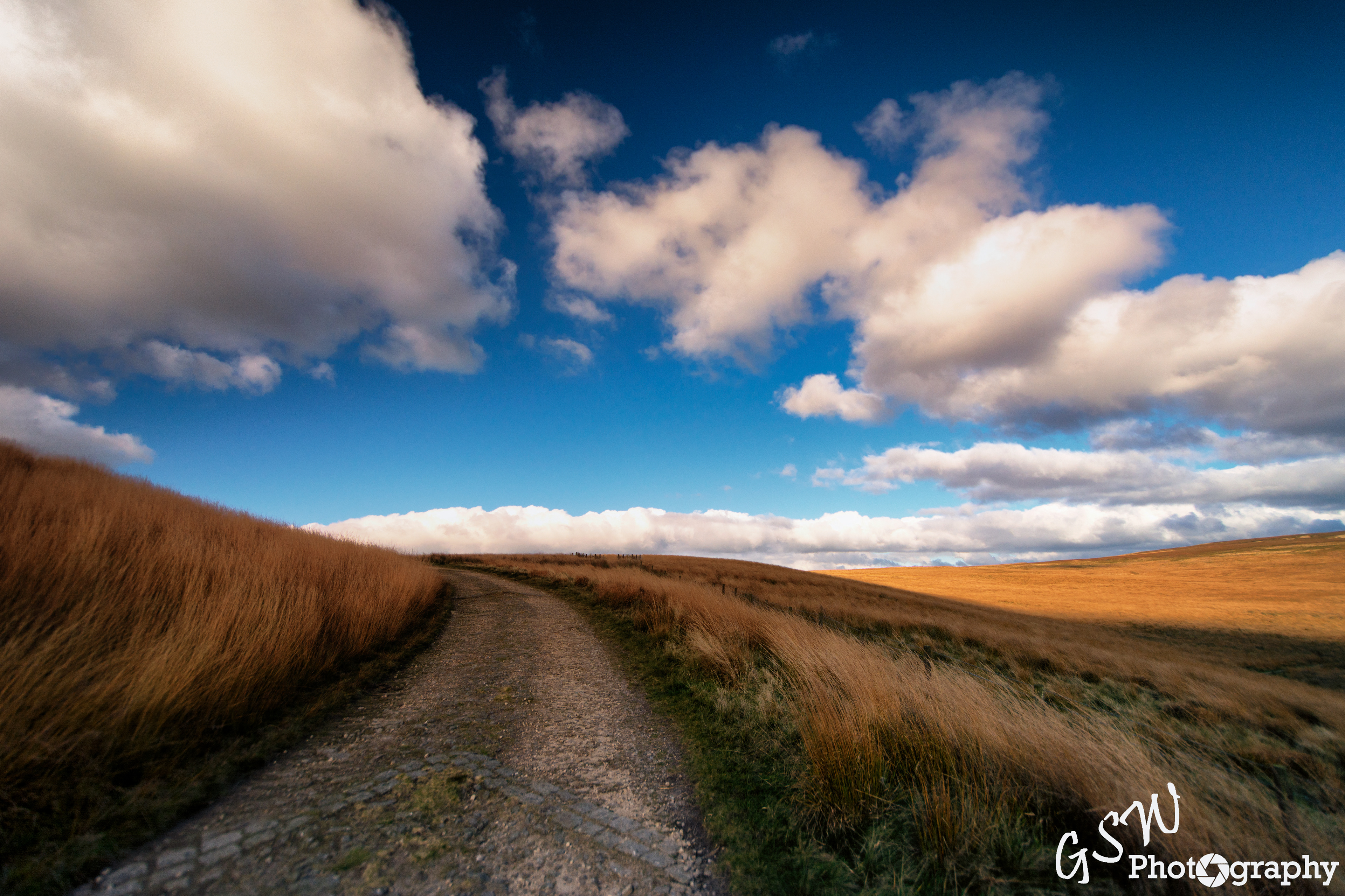 Autumn Colours under Summer Sky, Lancashire