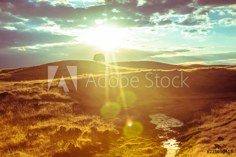 sunset in savanna nature, California 