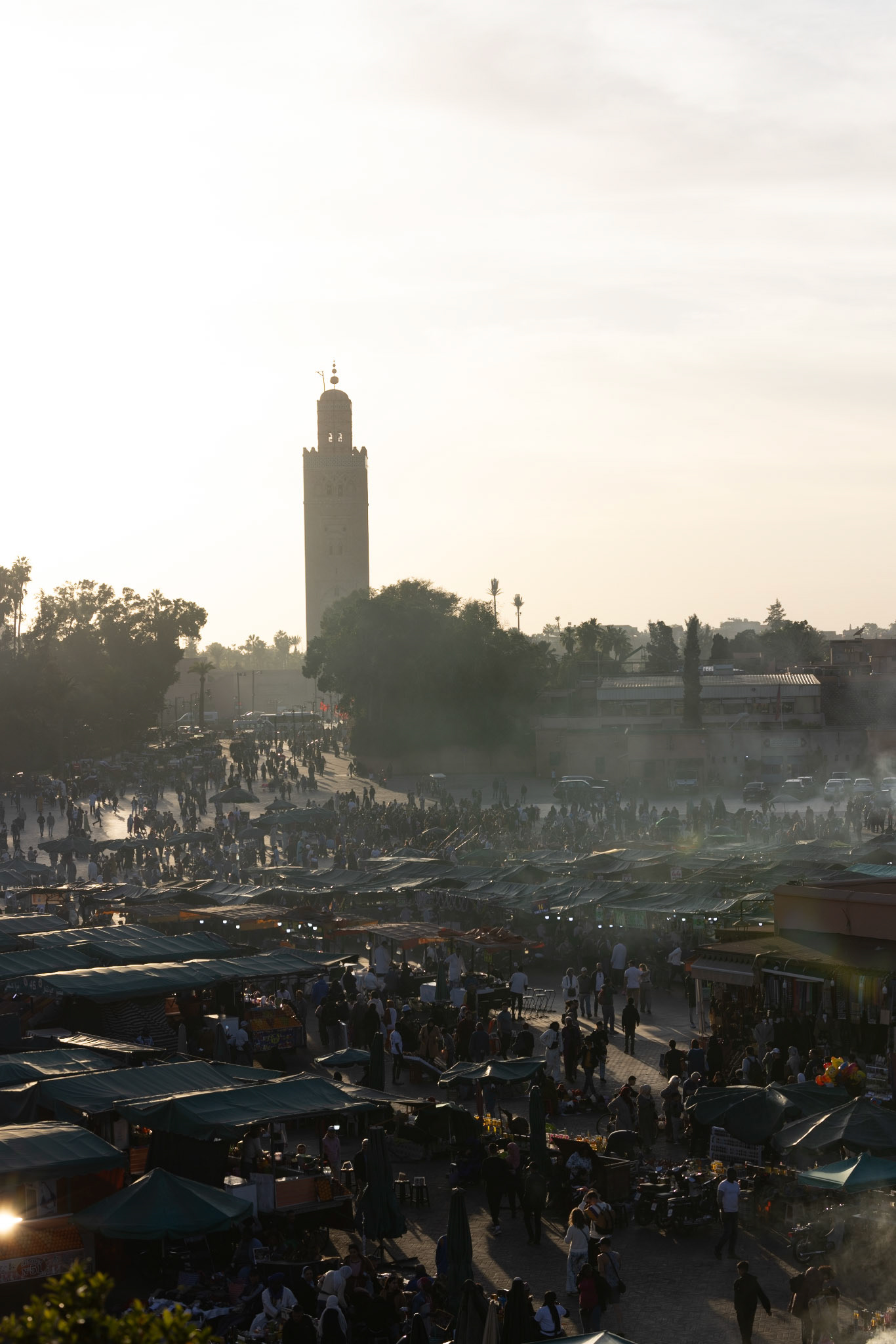 [5] 1/800, F8, ISO 200, 79mm