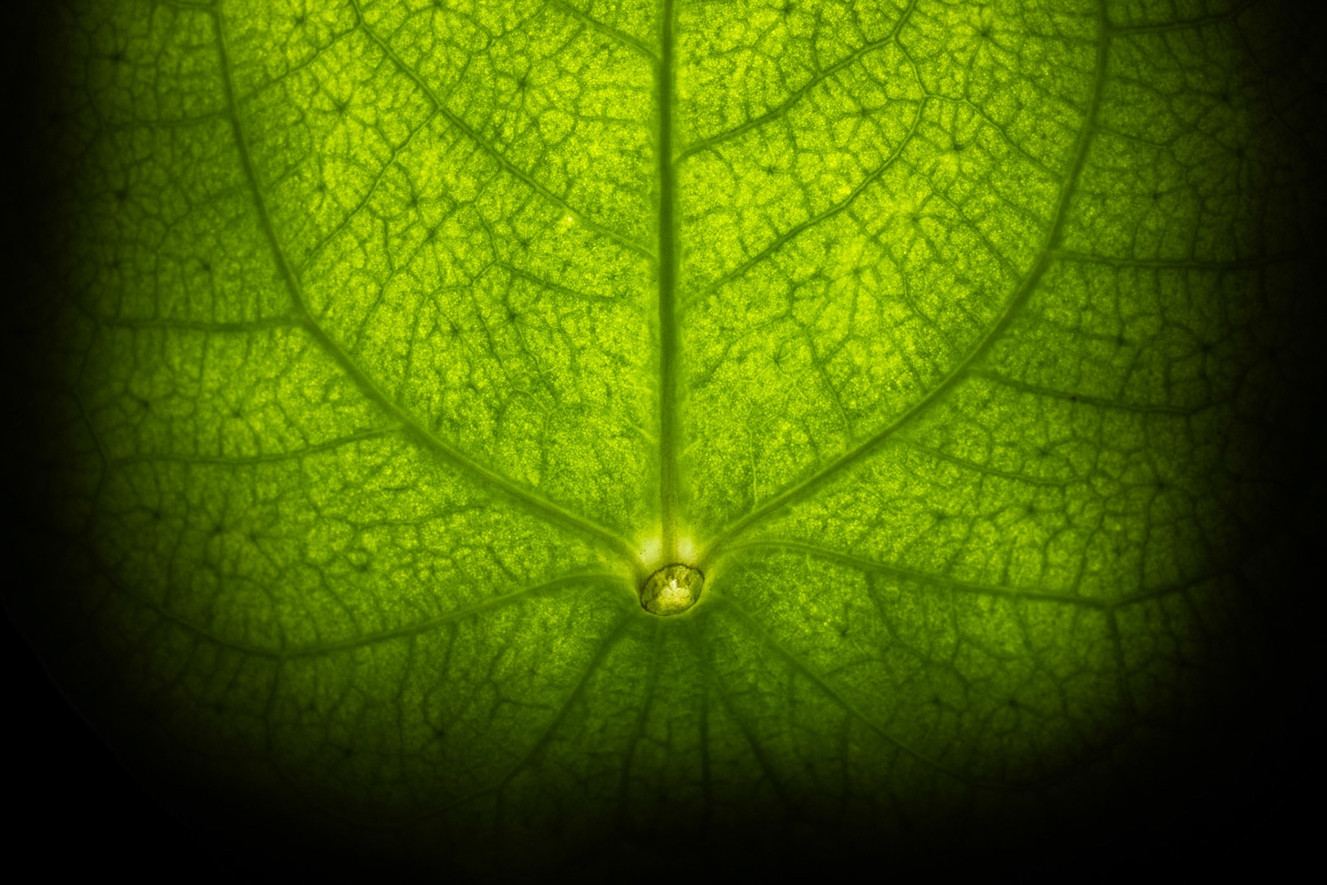 35mm - 1/320s - F11 - ISO 800