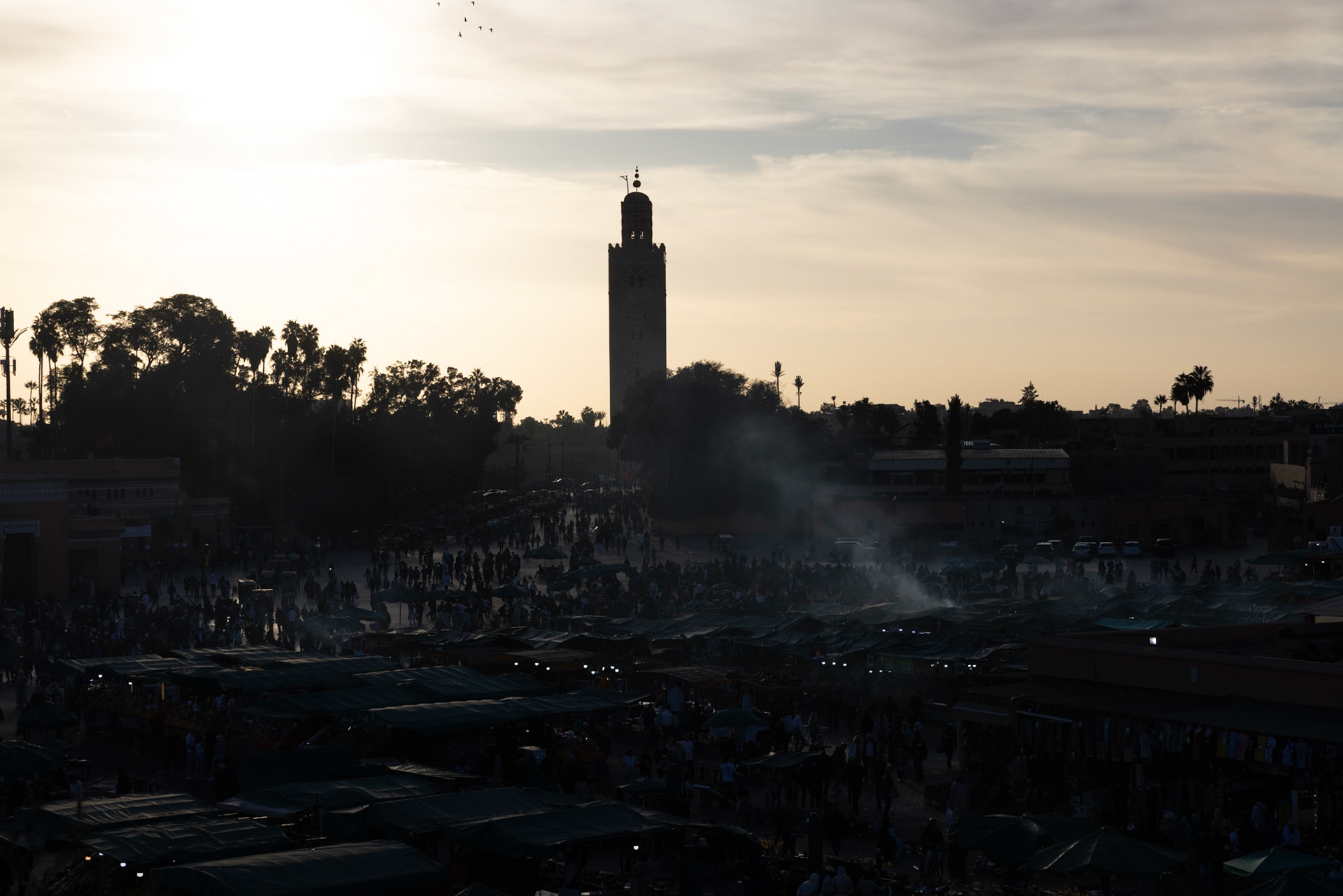 [1] 1/1250, F8, ISO 200, 70mm