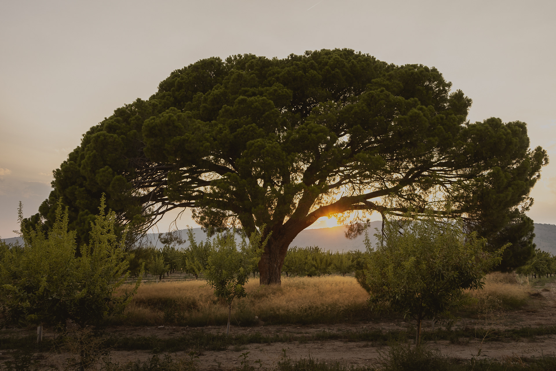 En un lugar de la Mancha