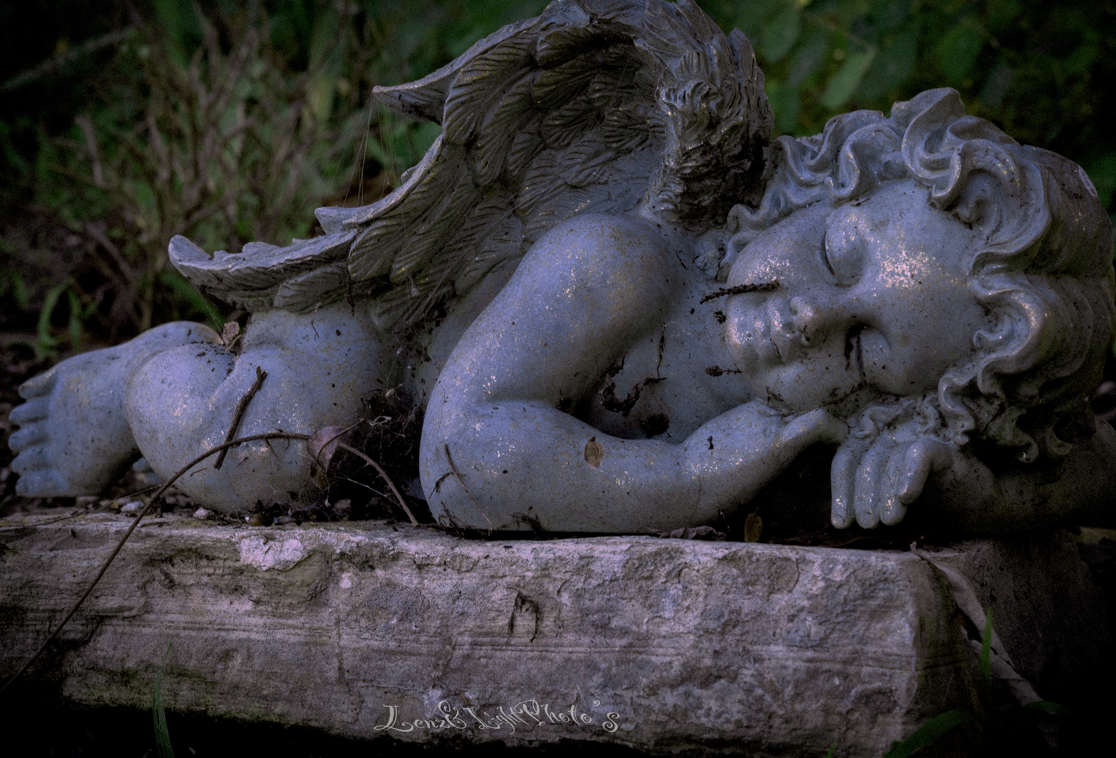 Long Beach VA Medical Center, Veterans Garden