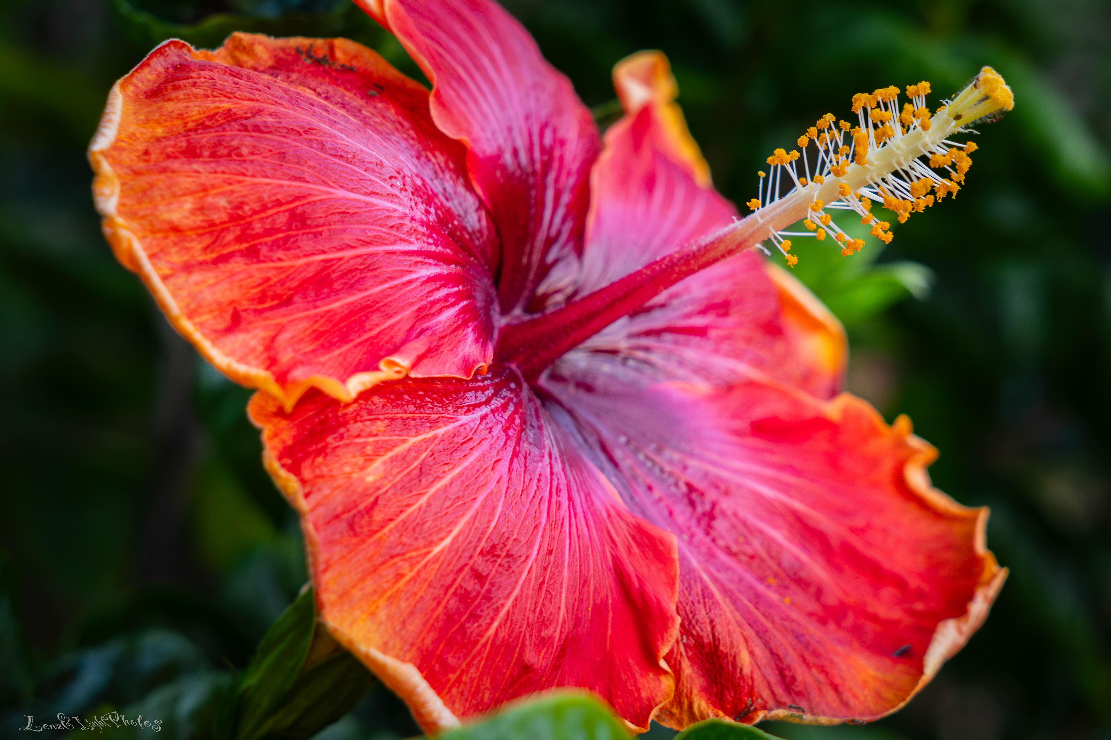 Long Beach VA Medical Center, Veterans Garden