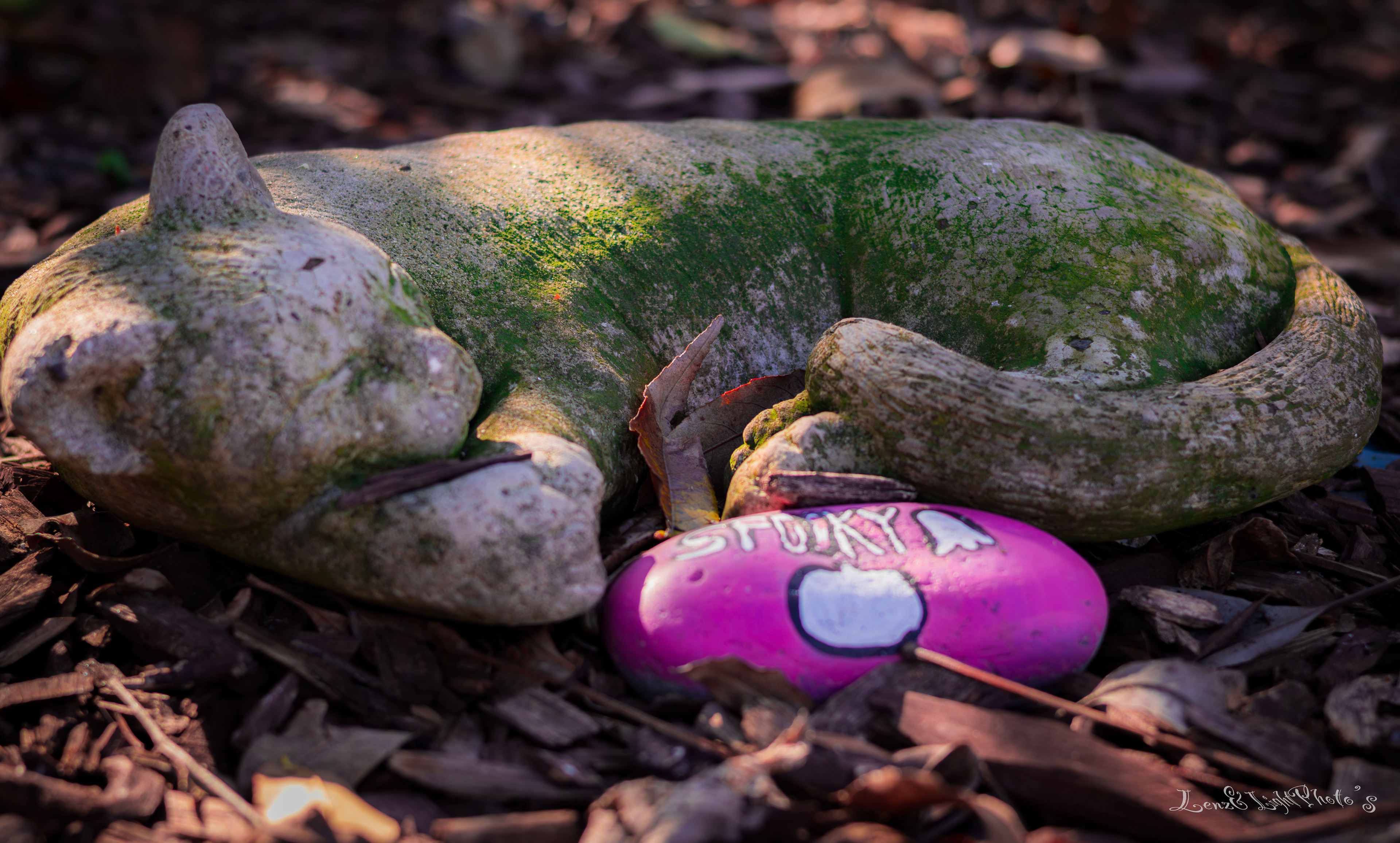 Long Beach VA Medical Center, Veterans Garden