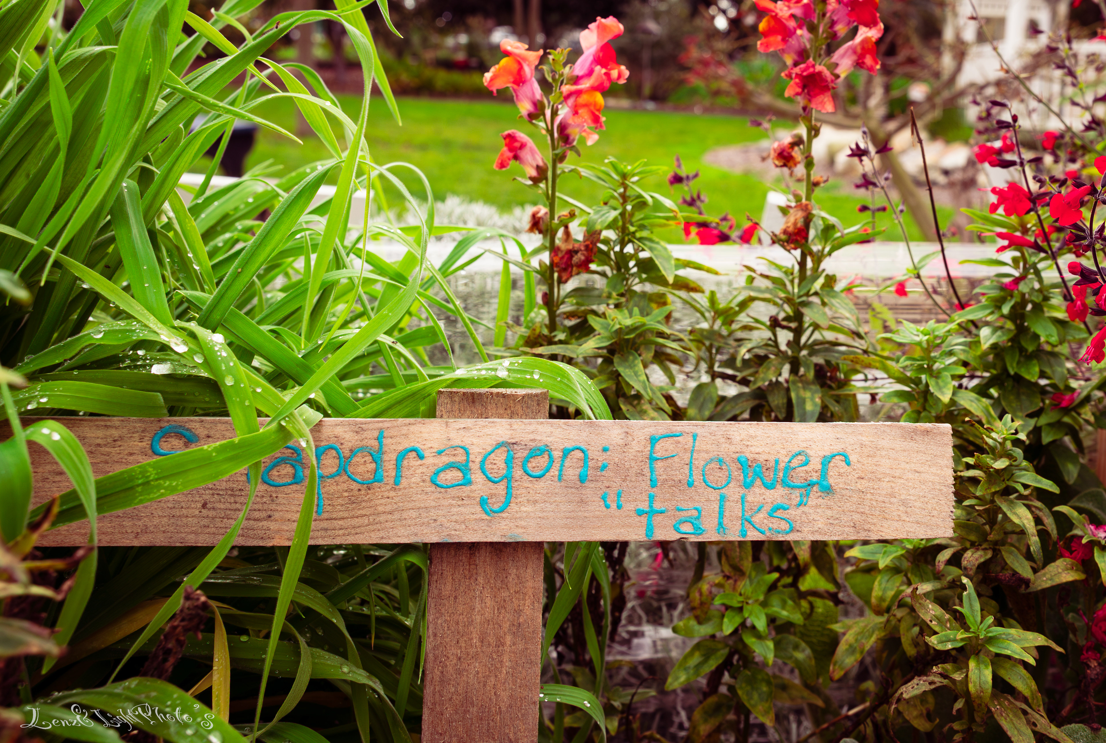 Long Beach VA Medical Center, Veterans Garden