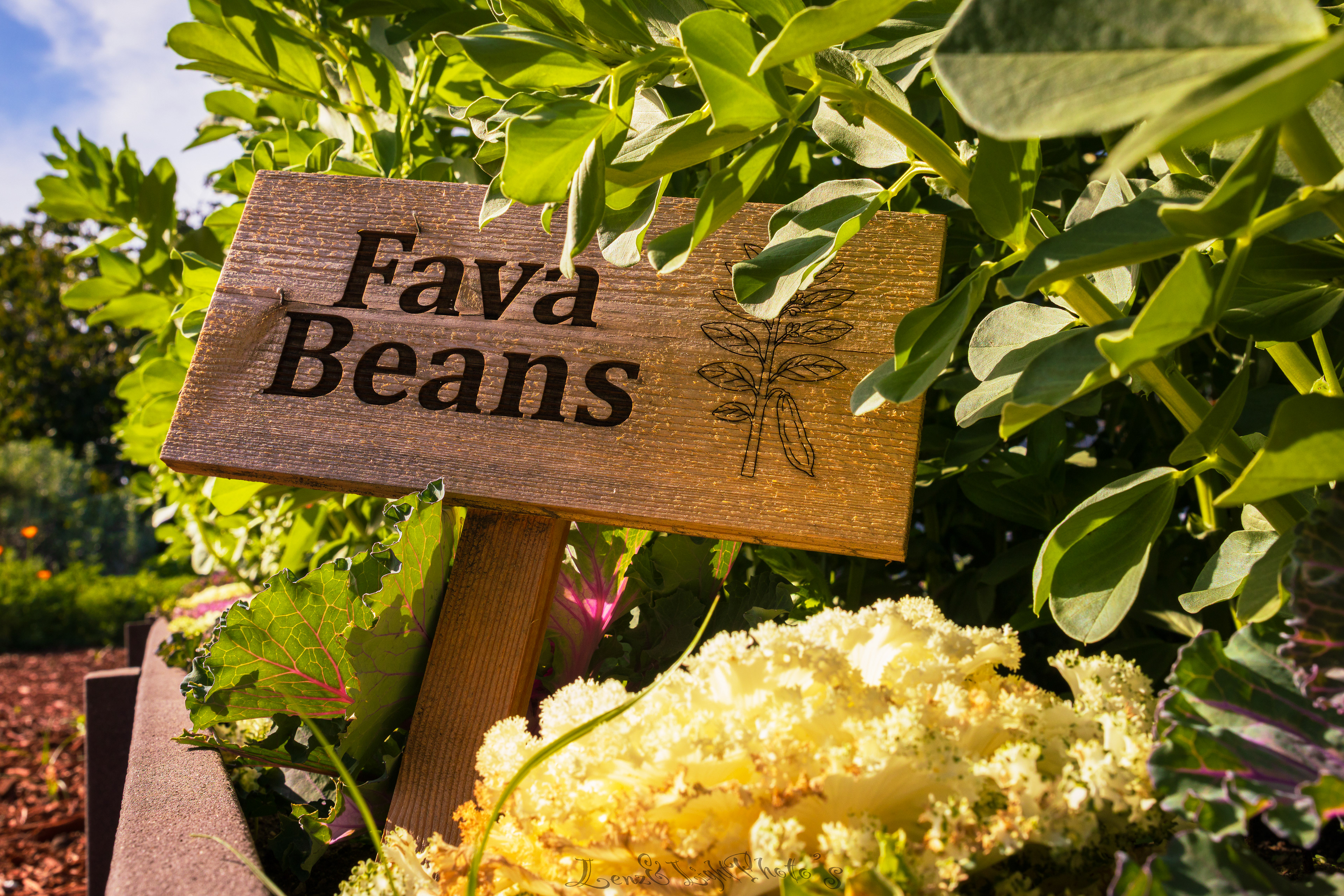 Long Beach VA Medical Center, Veterans Garden