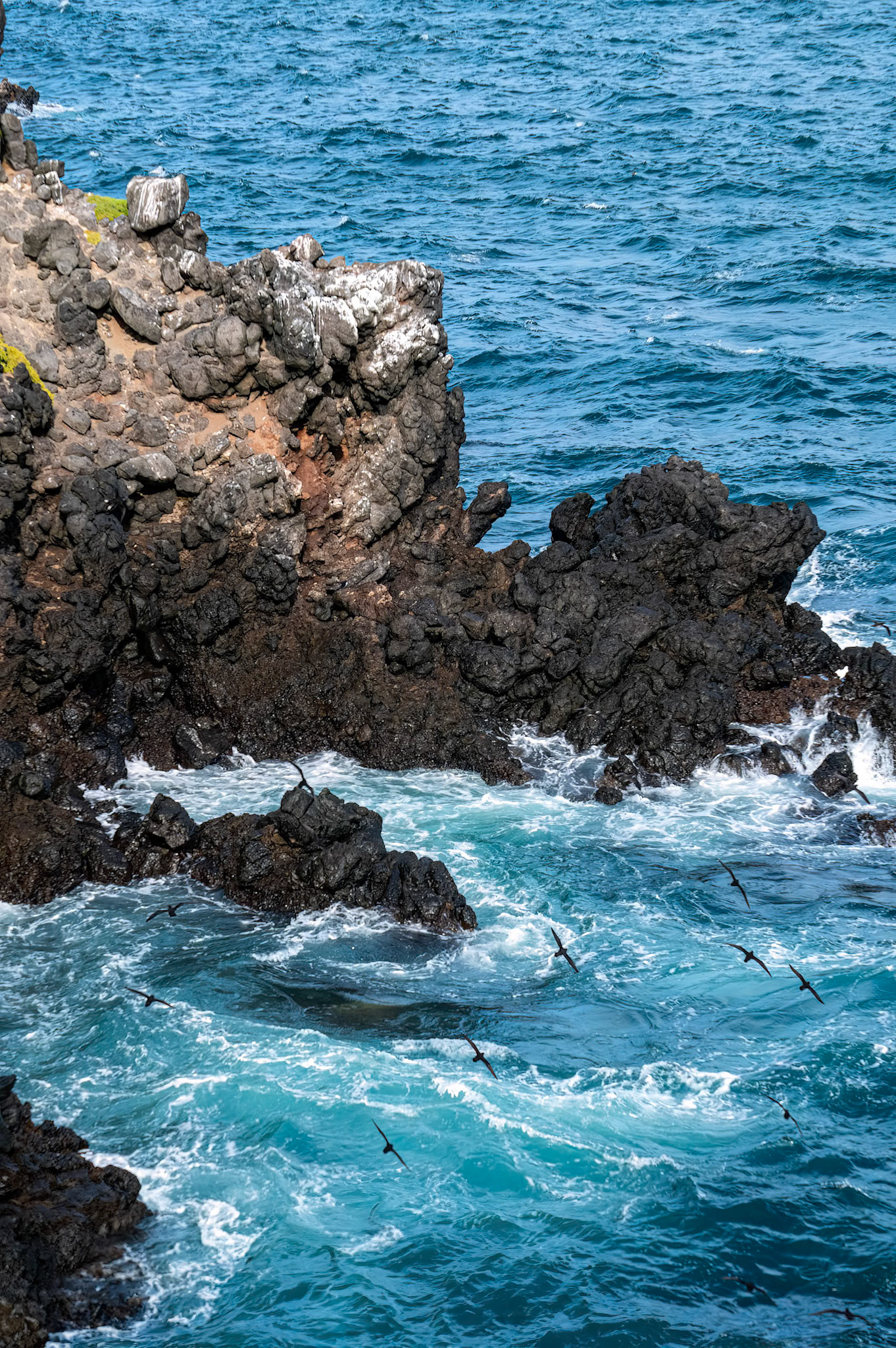 Volcanic cliffs of Santa Cruz Island