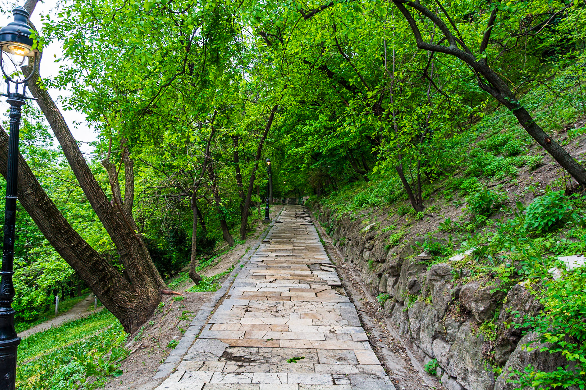 Castle hill walk