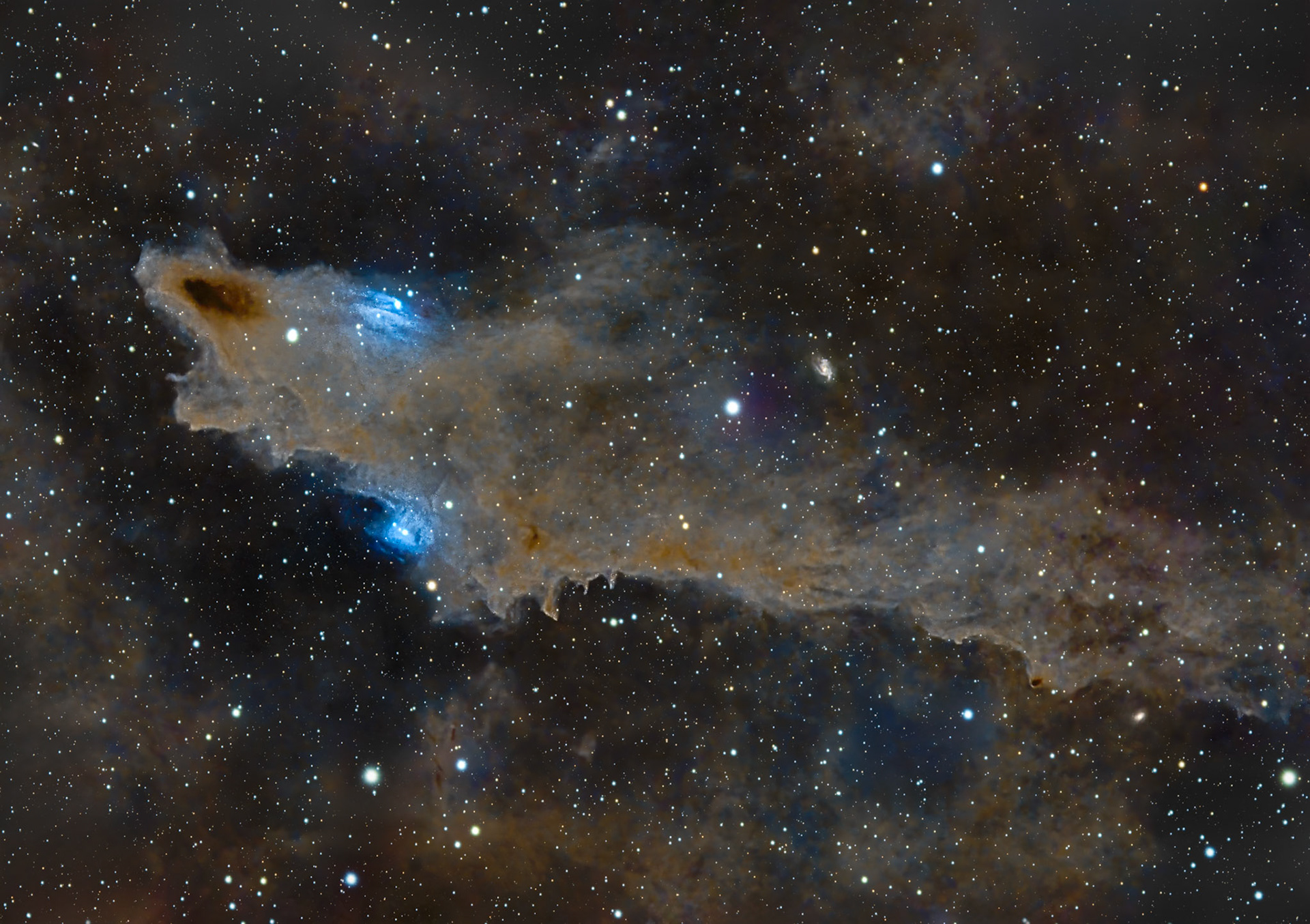 LDN 1235 / Dark Shark Nebula