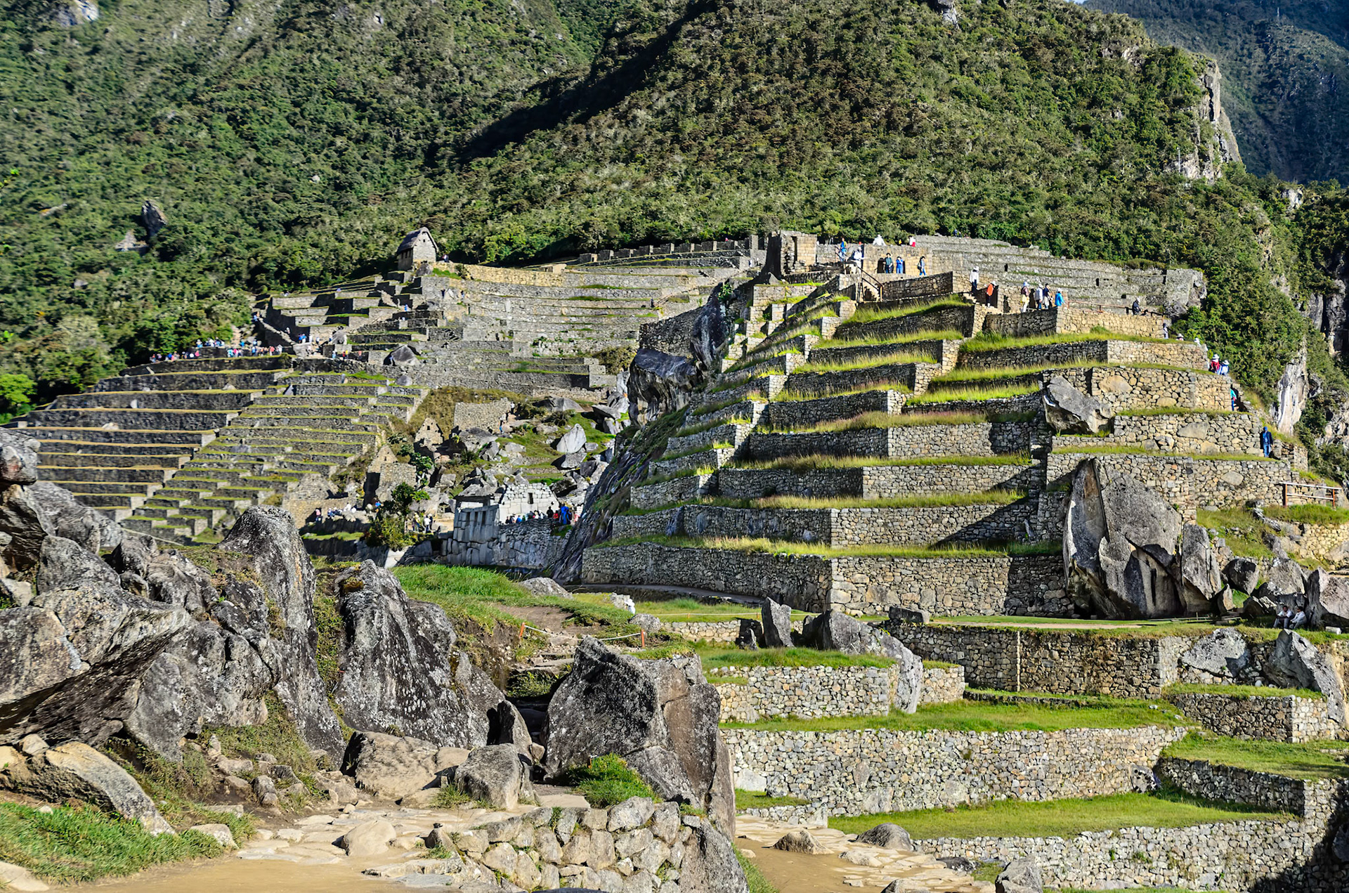Machu Picchu Terraces