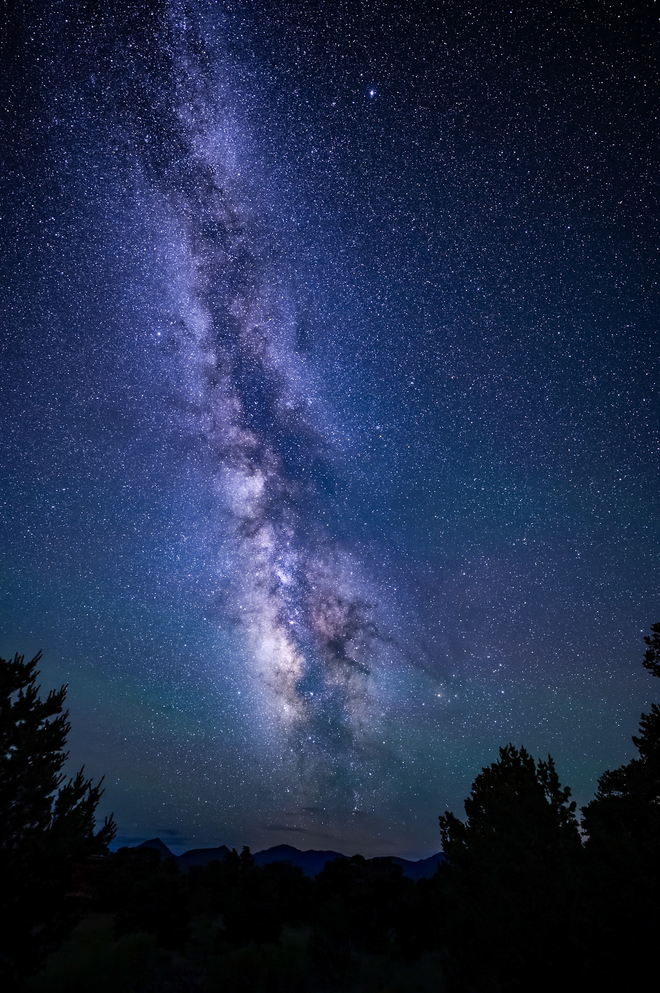 Starry Meadows