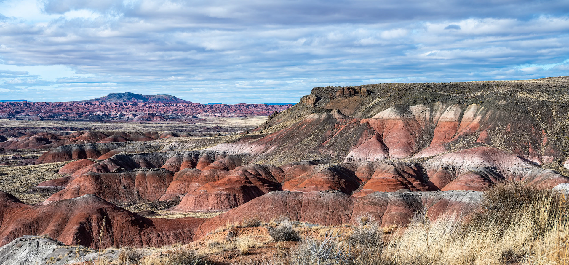 Painted Desert, Petrified Forest NP