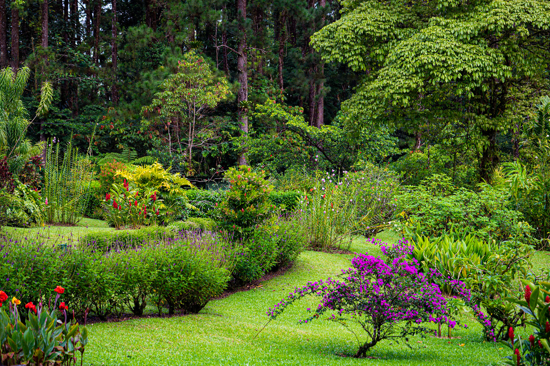 Arenal Observatory Lodge