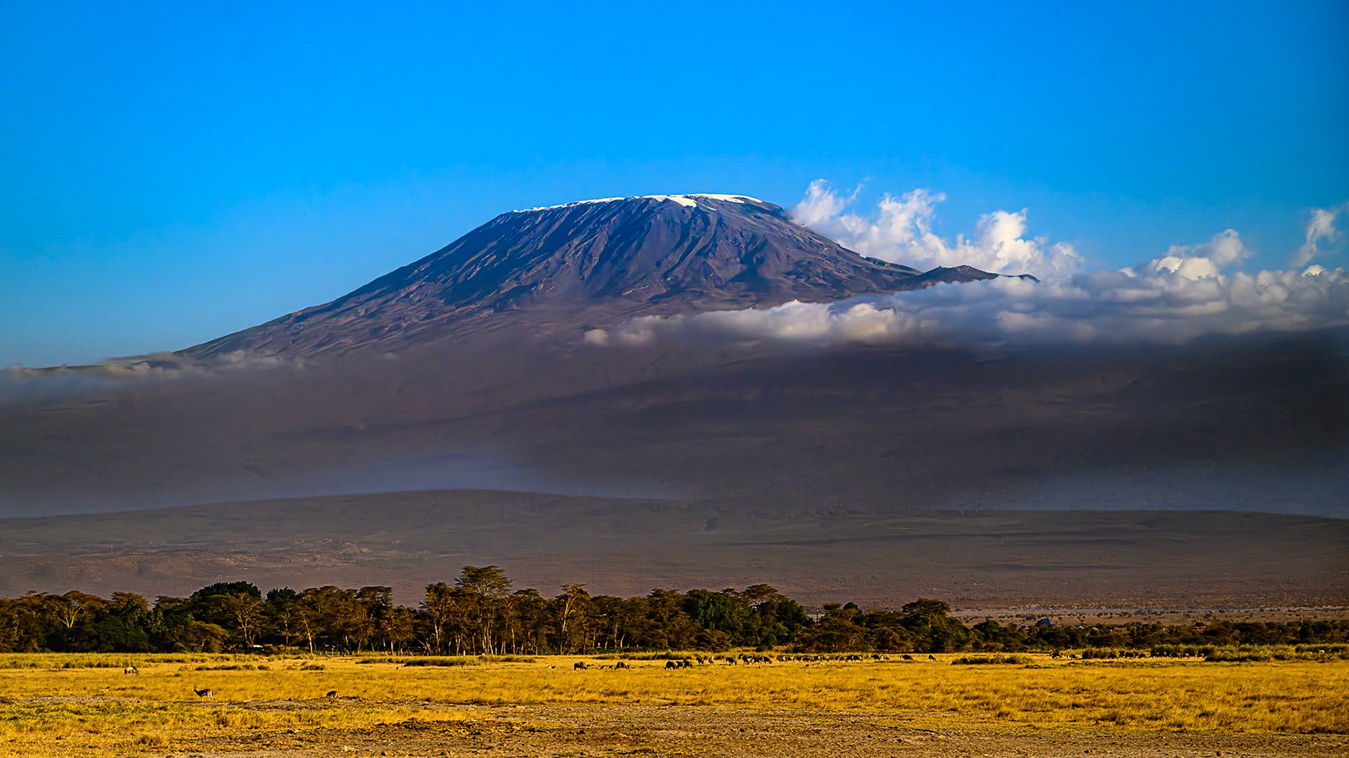Mount Kilimanjaro