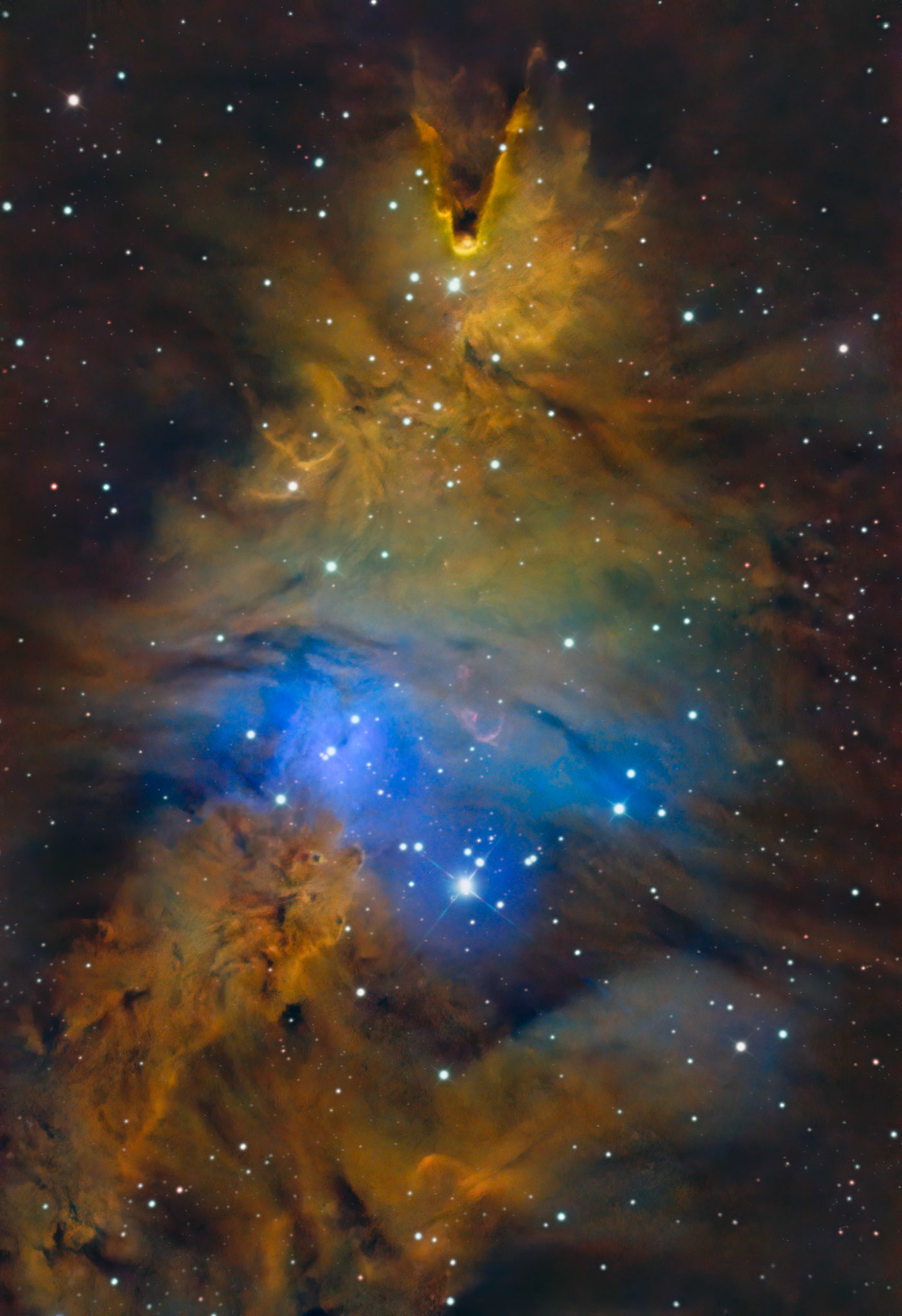 NGC 2264 / Christmas Tree Cluster