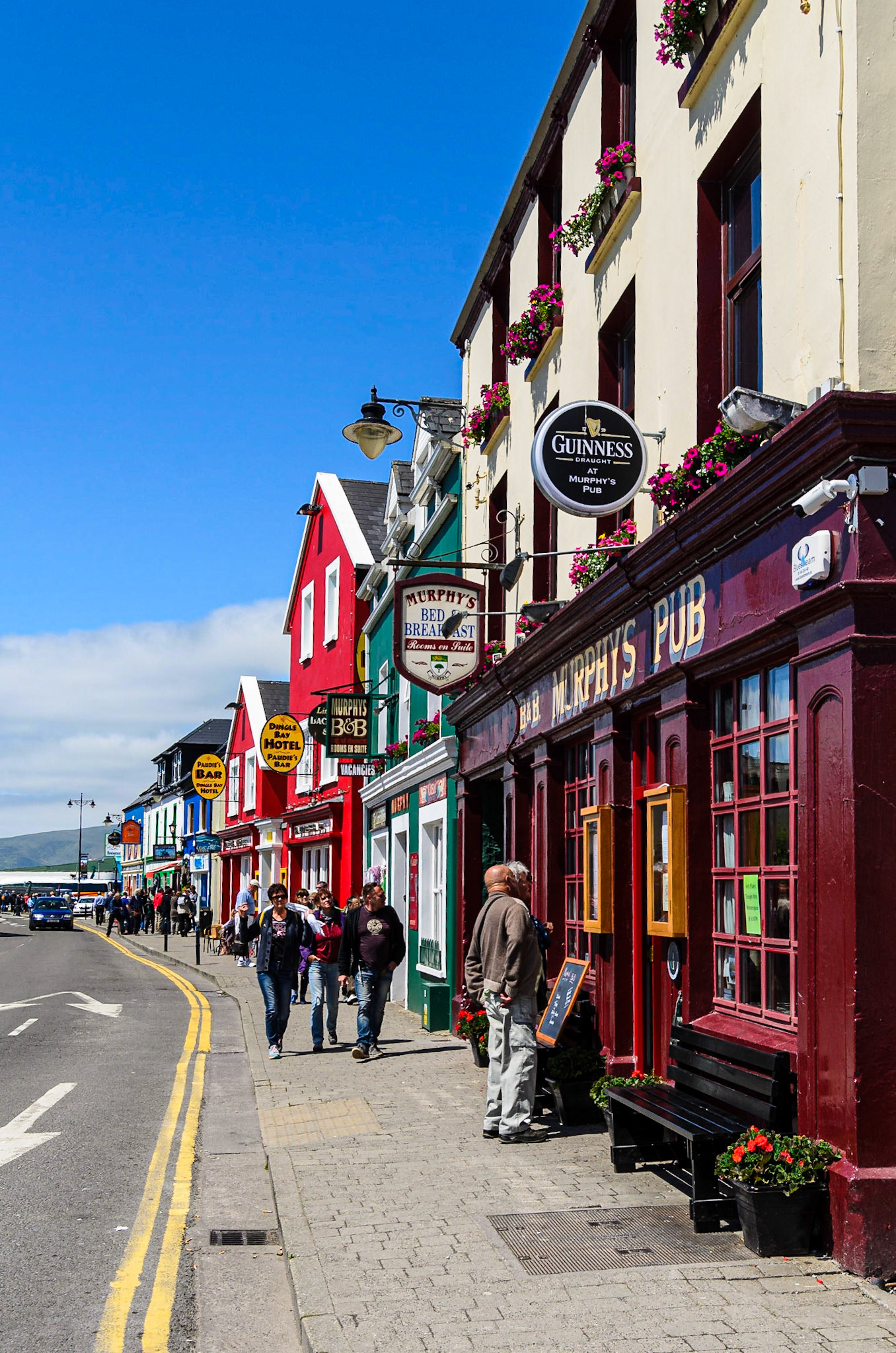 Town of Dingle on the sea